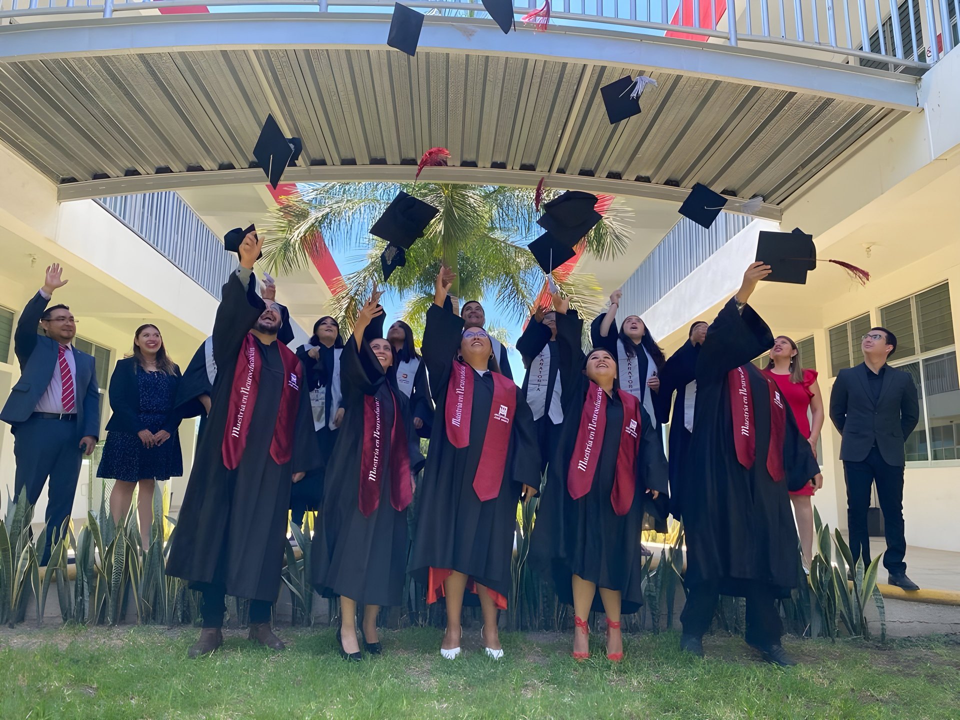 an abstract photo of a curved building with a blue sky in the background