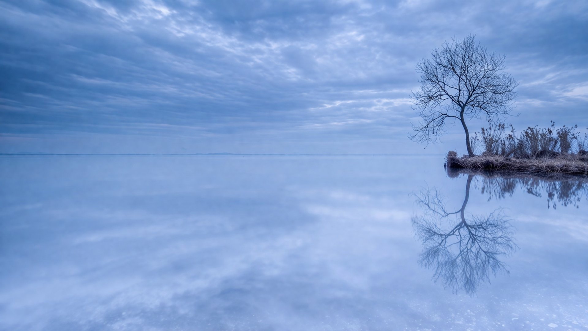 an abstract photo of a curved building with a blue sky in the background