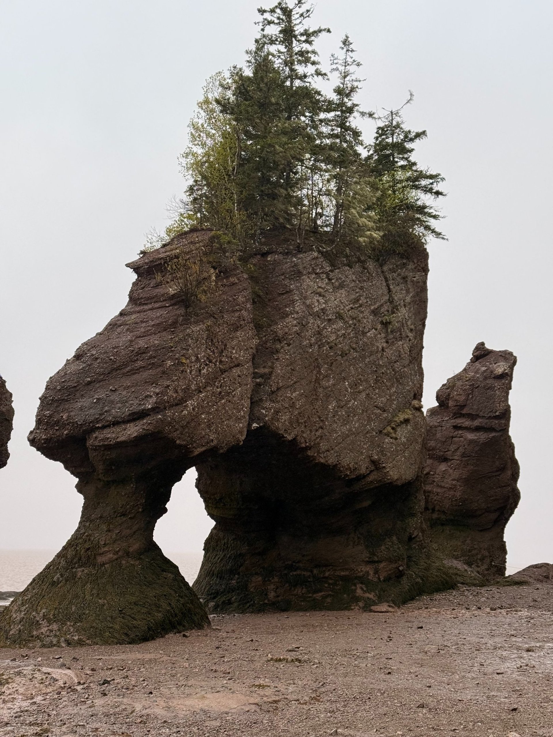 woman wearing yellow long-sleeved dress under white clouds and blue sky during daytime