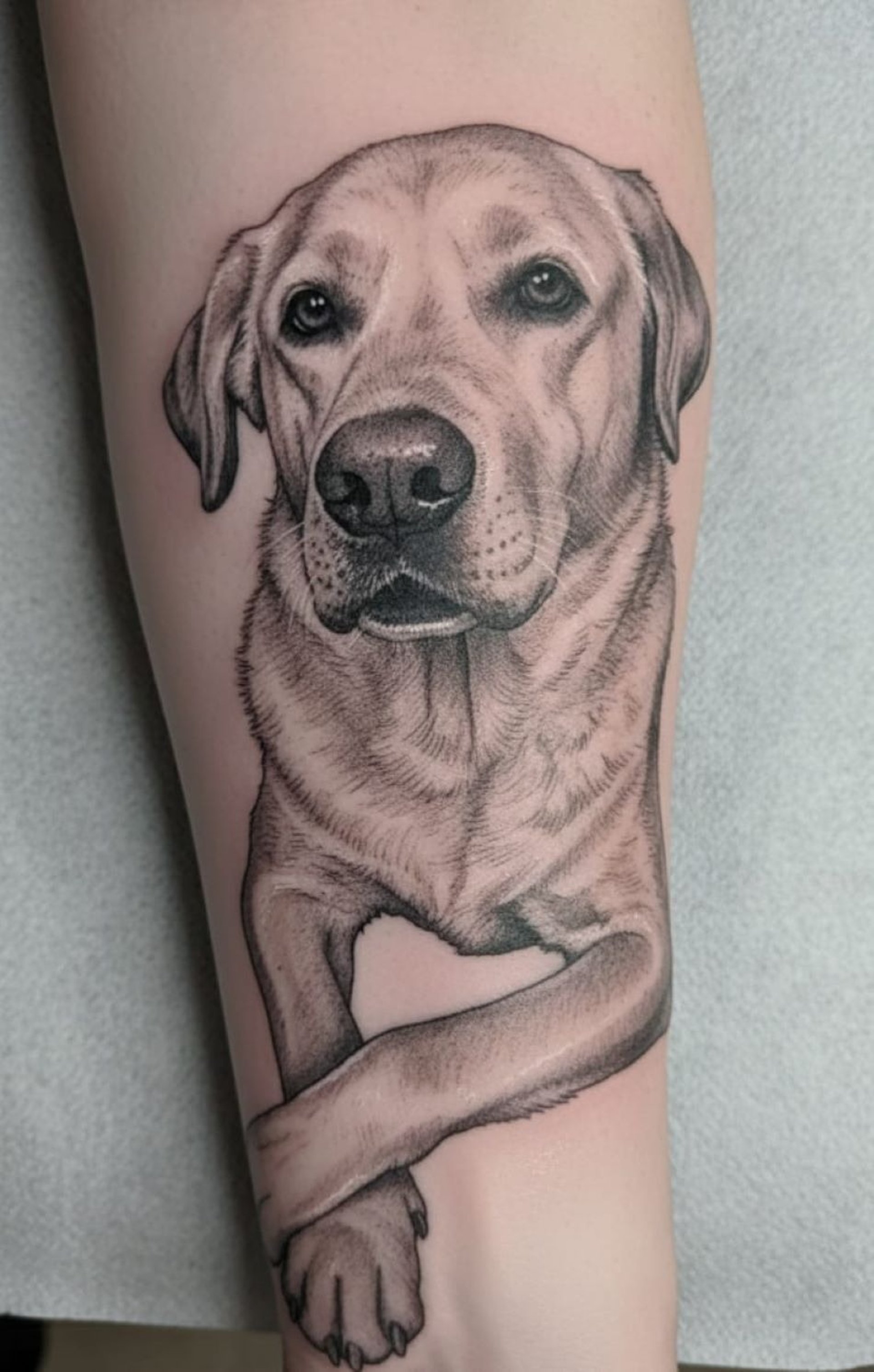 gray computer monitor