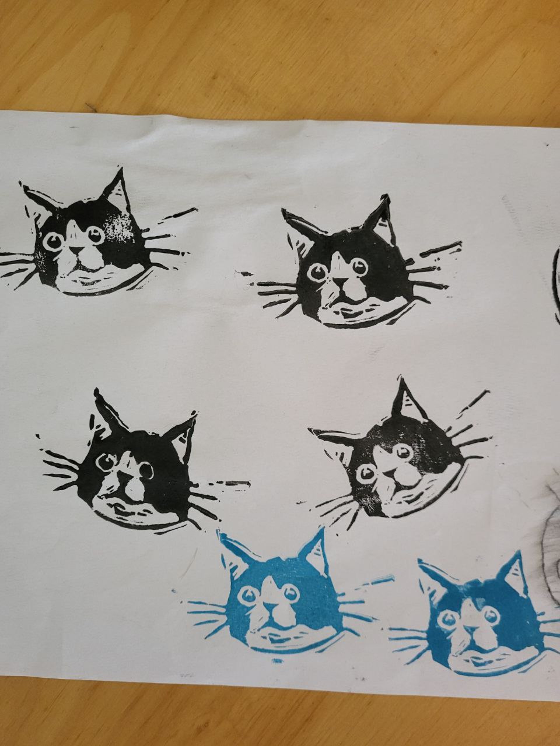 Linoprint on paper of cat face.