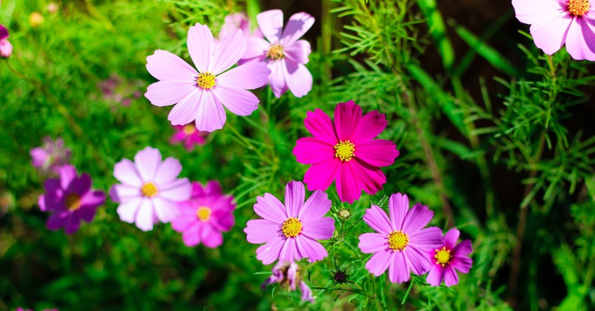 an abstract photo of a curved building with a blue sky in the background