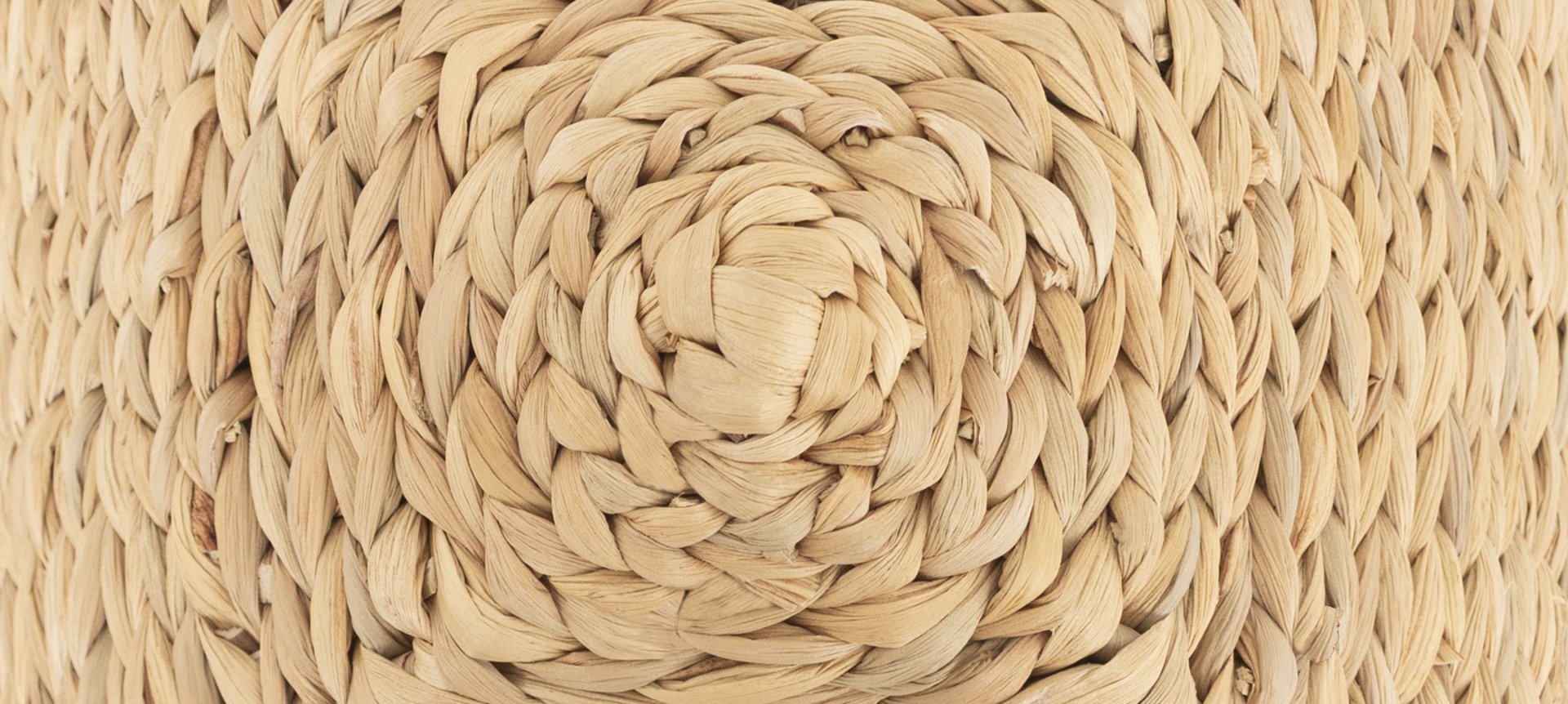 an abstract photo of a curved building with a blue sky in the background