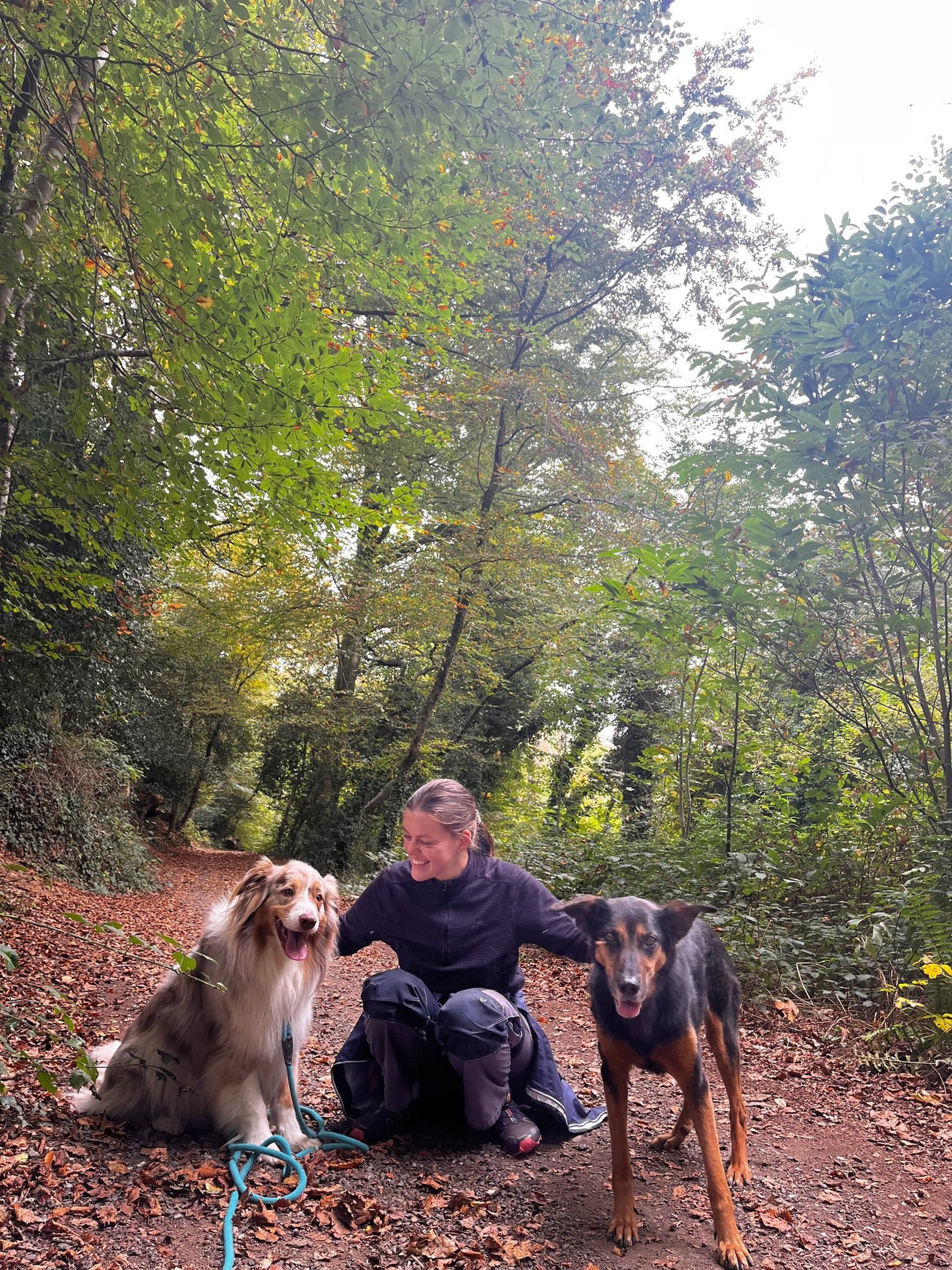 gray computer monitor