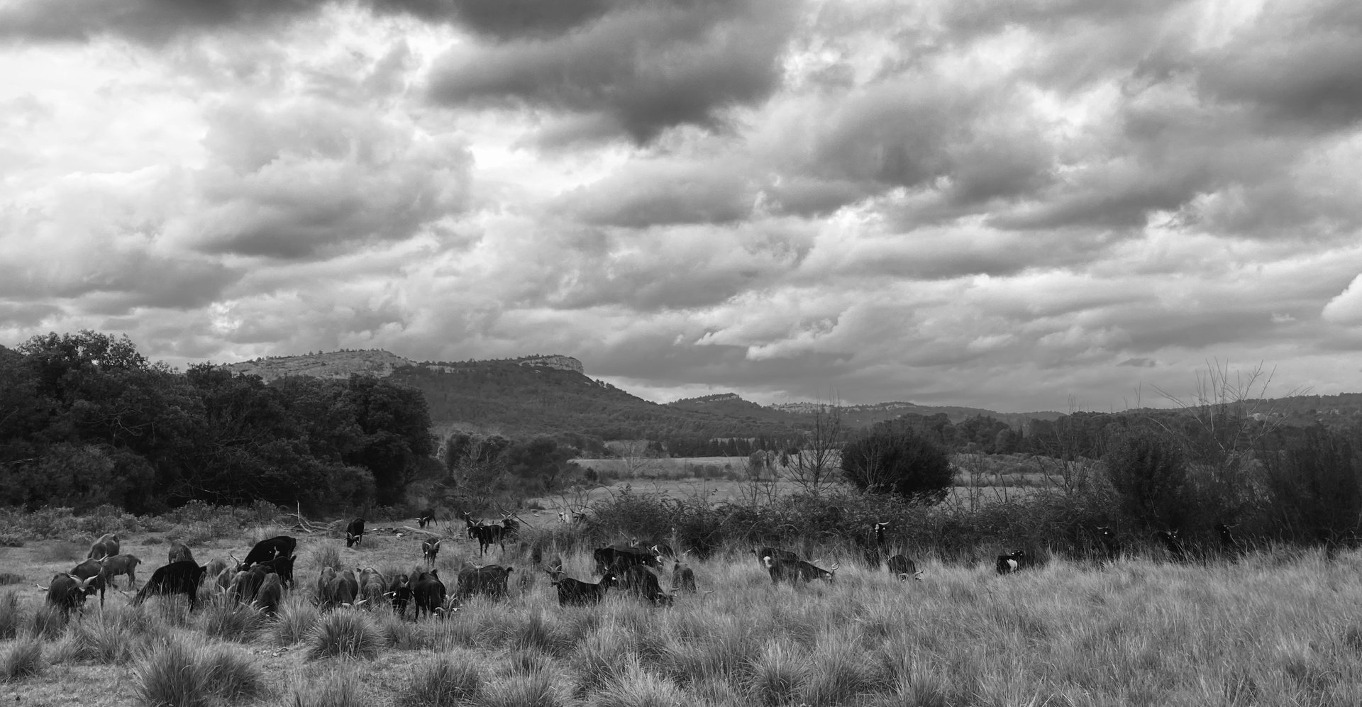 white and red concrete cathedral