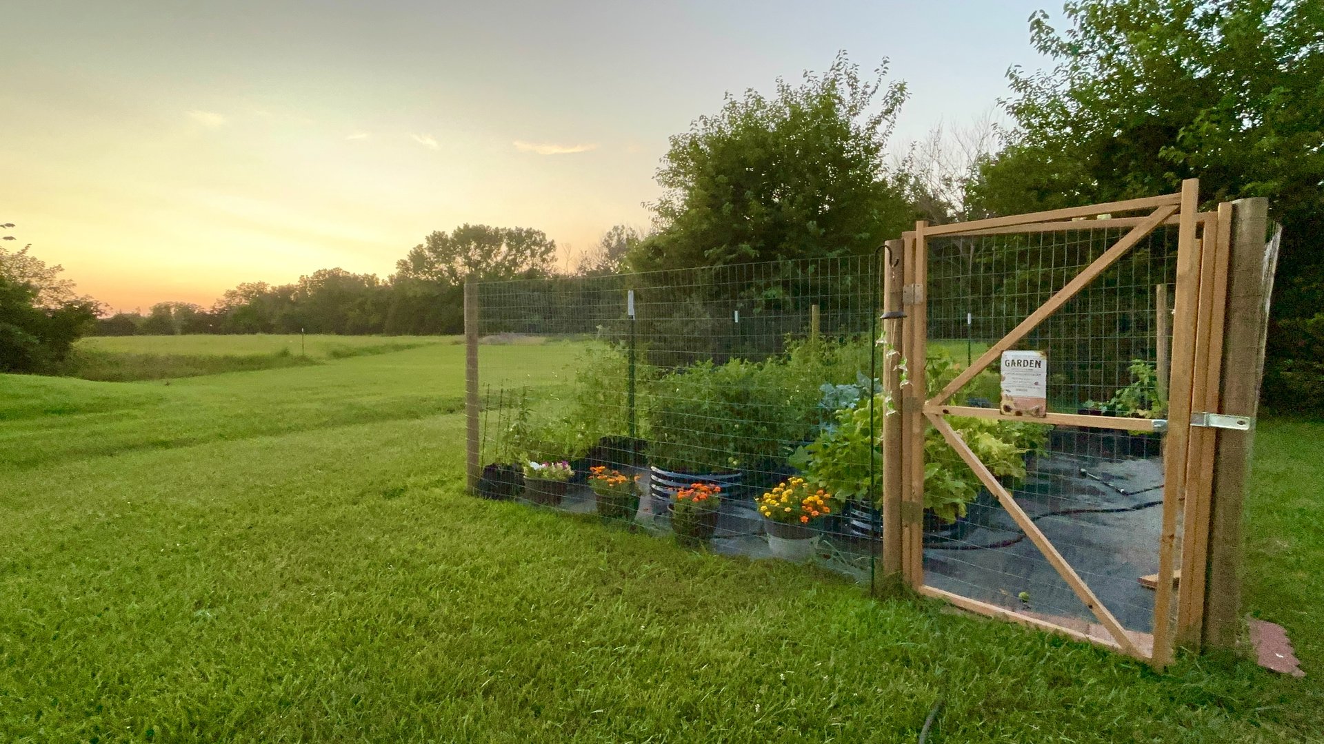 bokeh photography of person carrying soil
