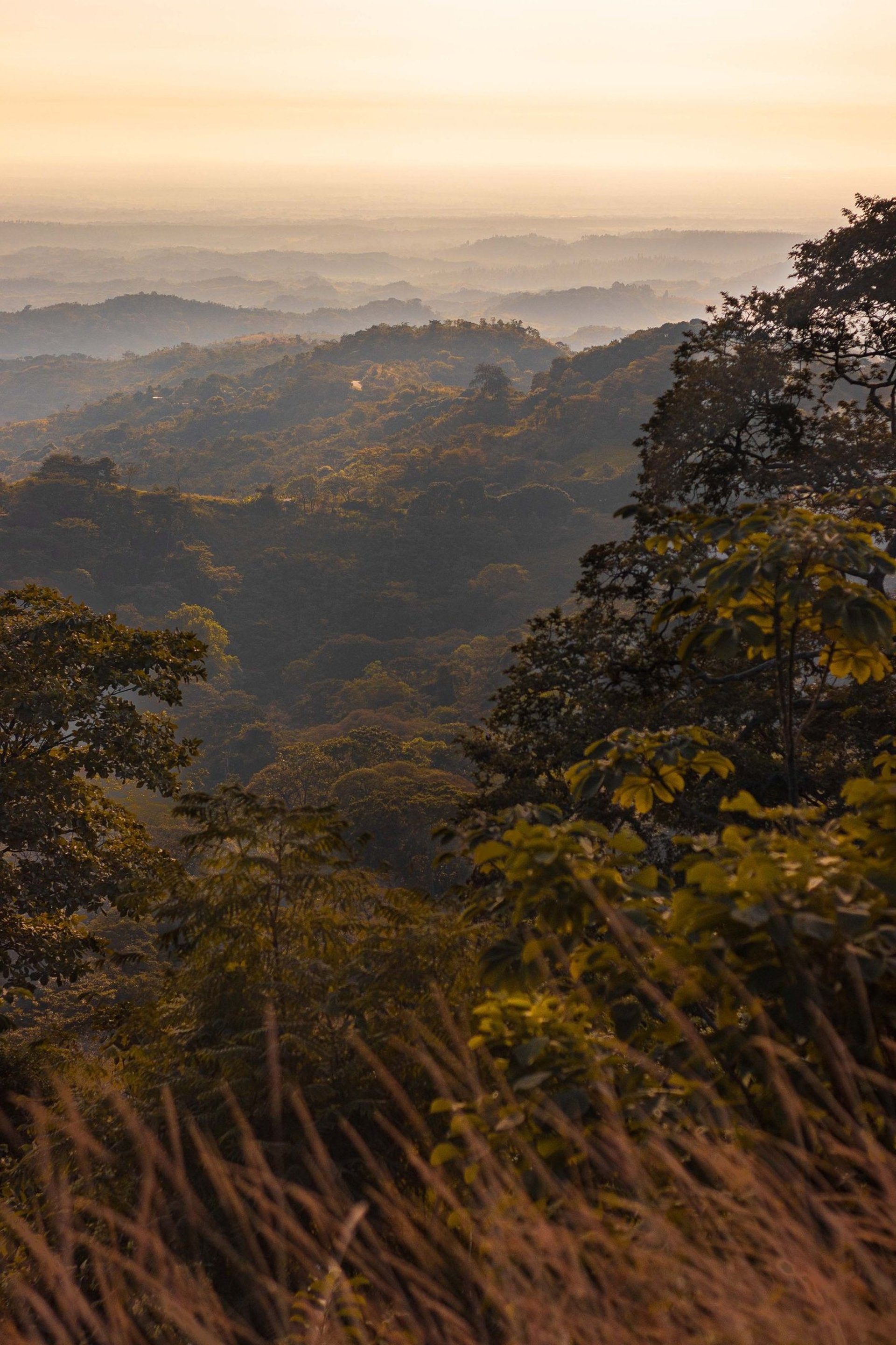 an abstract photo of a curved building with a blue sky in the background