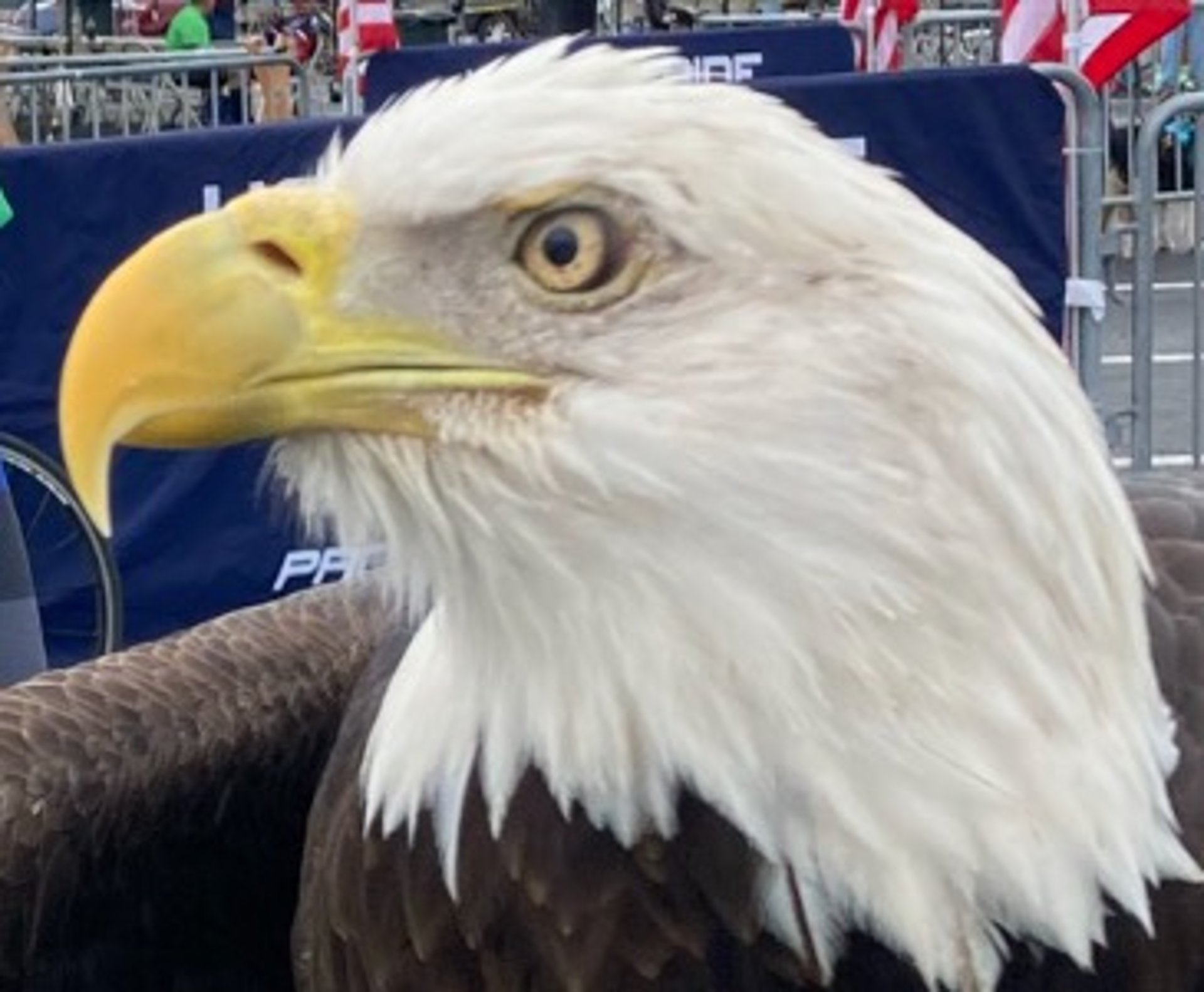 a group of people standing around a person with a glove on