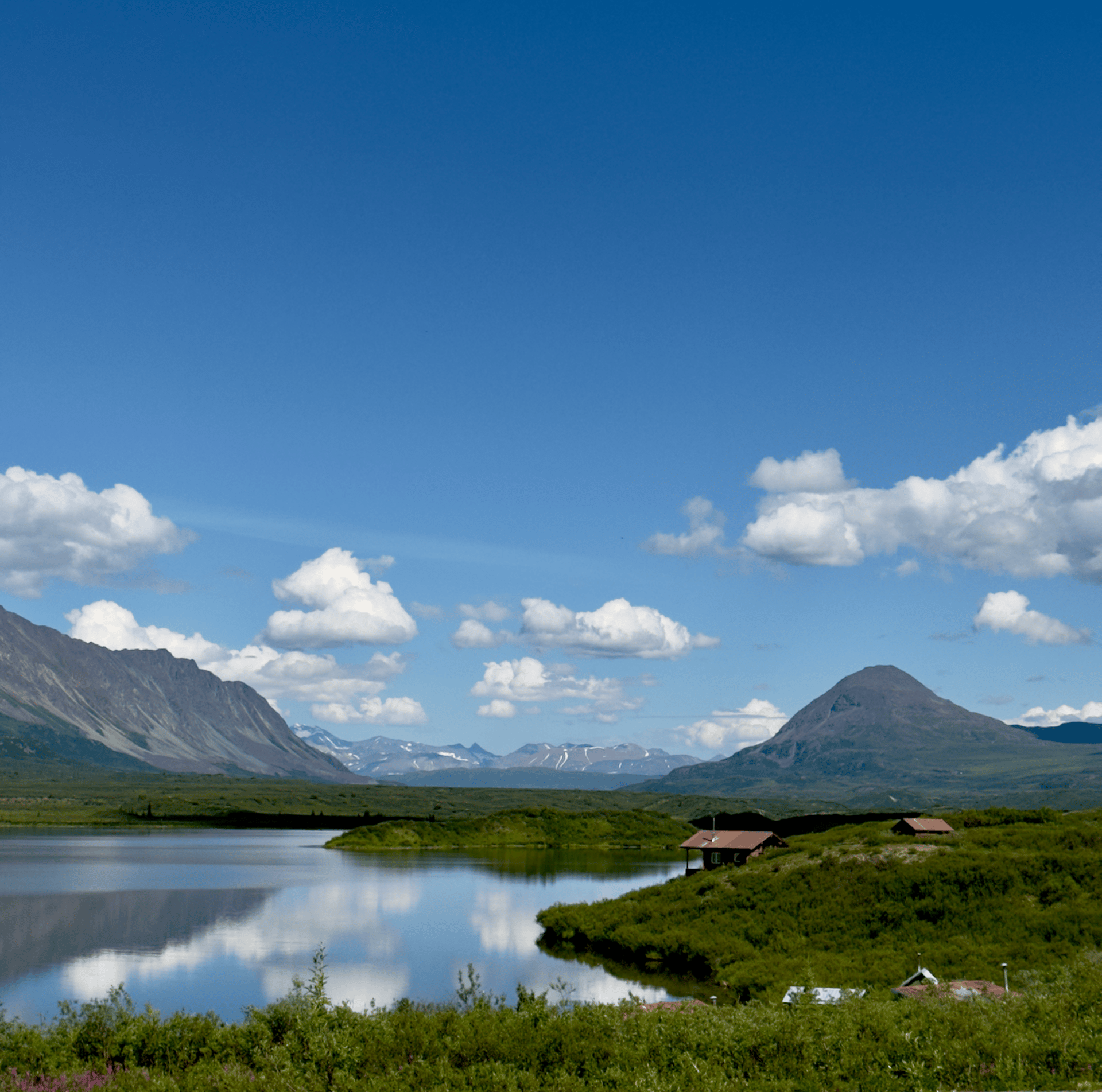 gray computer monitor