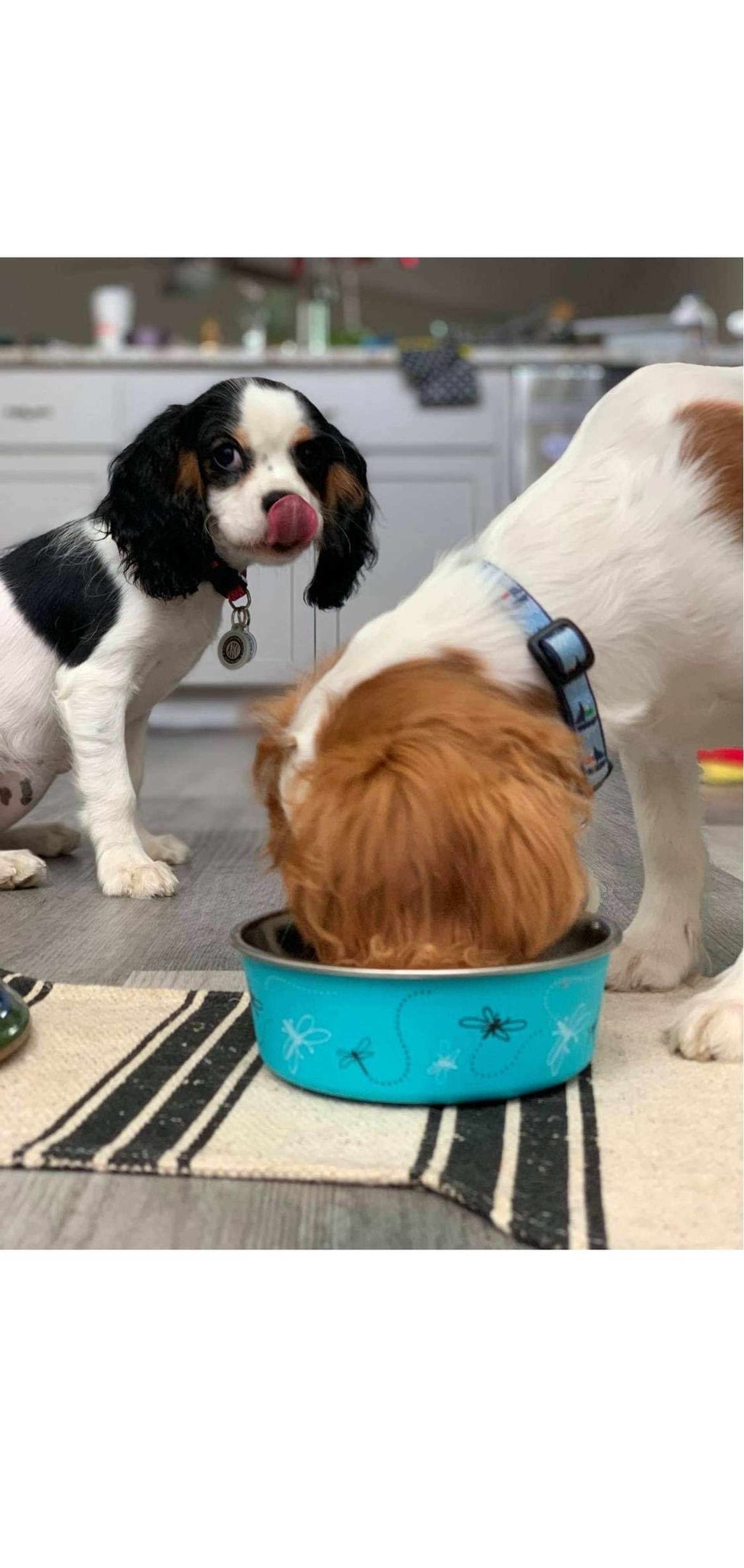 black and white bed linen