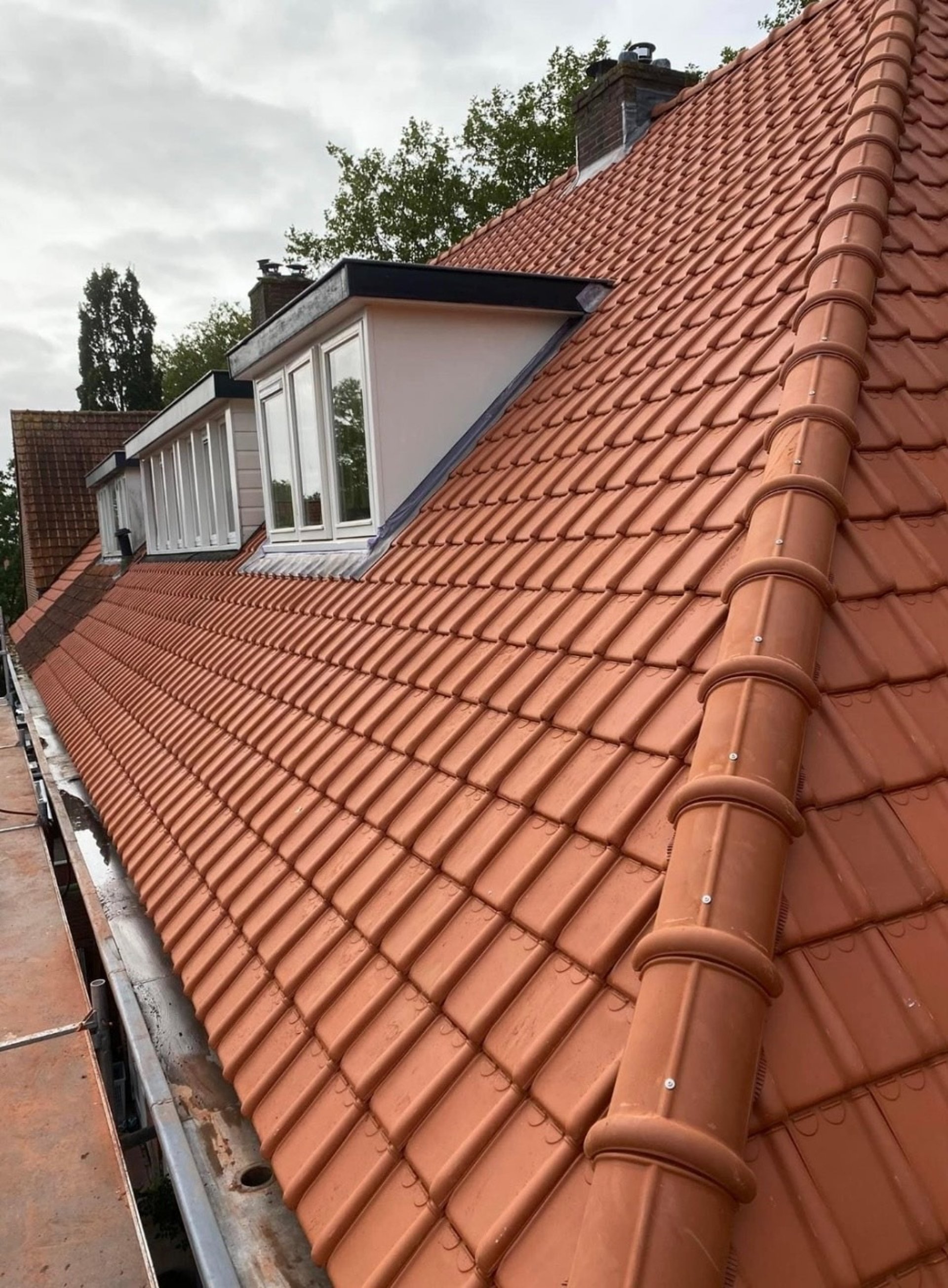 dakpanrenovatie Zevenaar