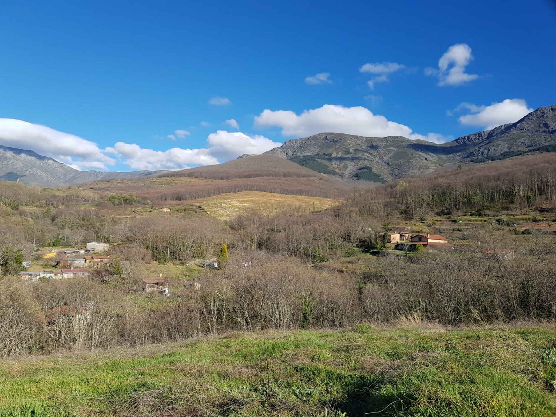 black and brown leather padded tub sofa