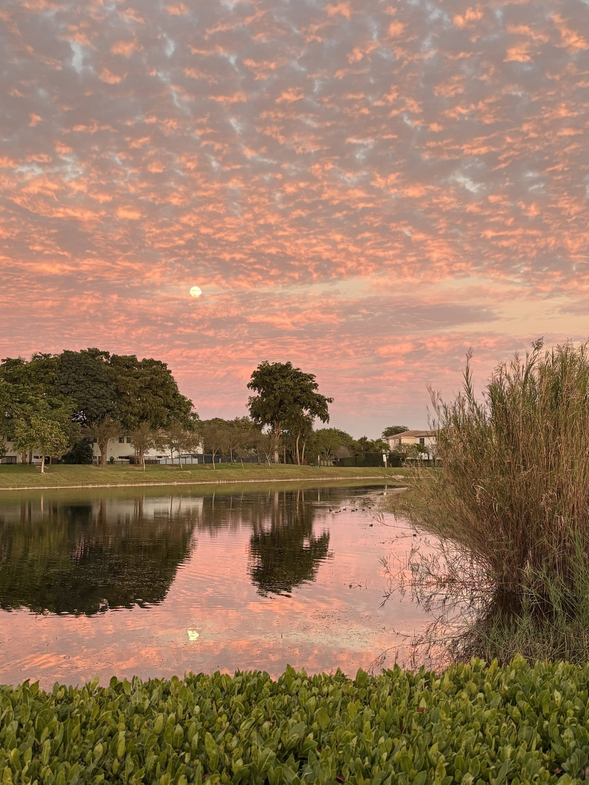black and brown leather padded tub sofa