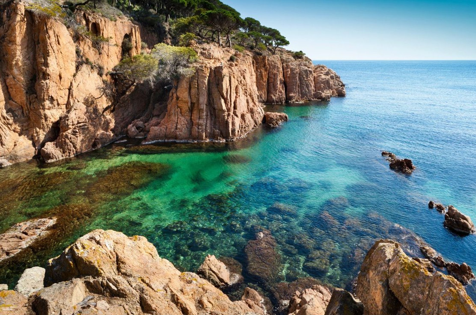 gray computer monitor