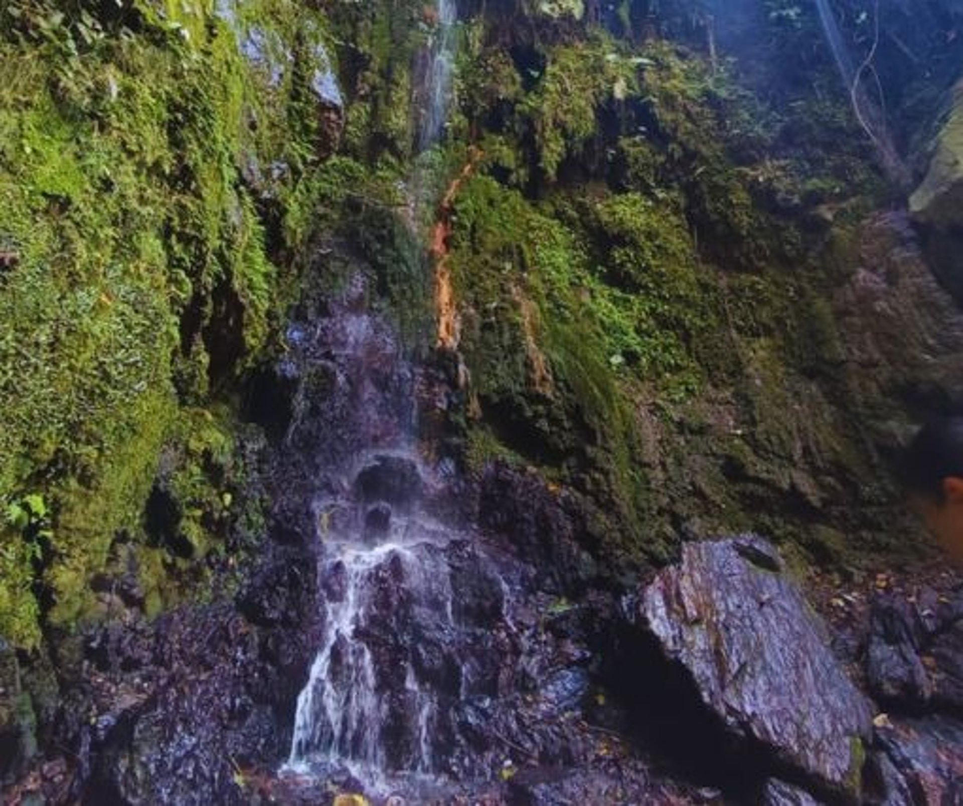 woman wearing yellow long-sleeved dress under white clouds and blue sky during daytime