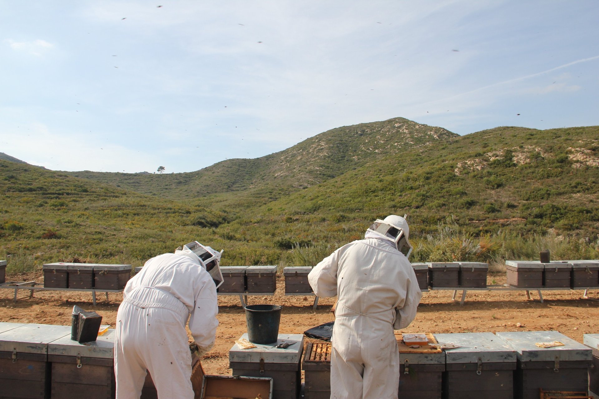 mountain range under blue sky