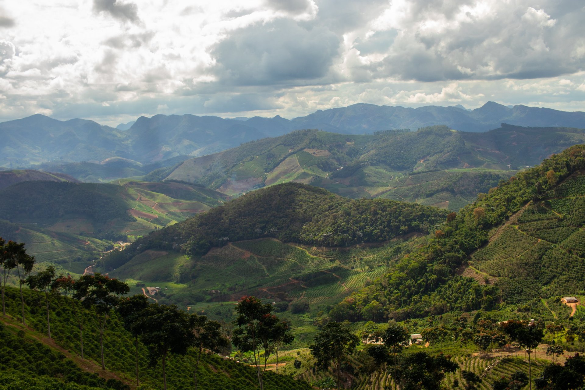 black and white bed linen