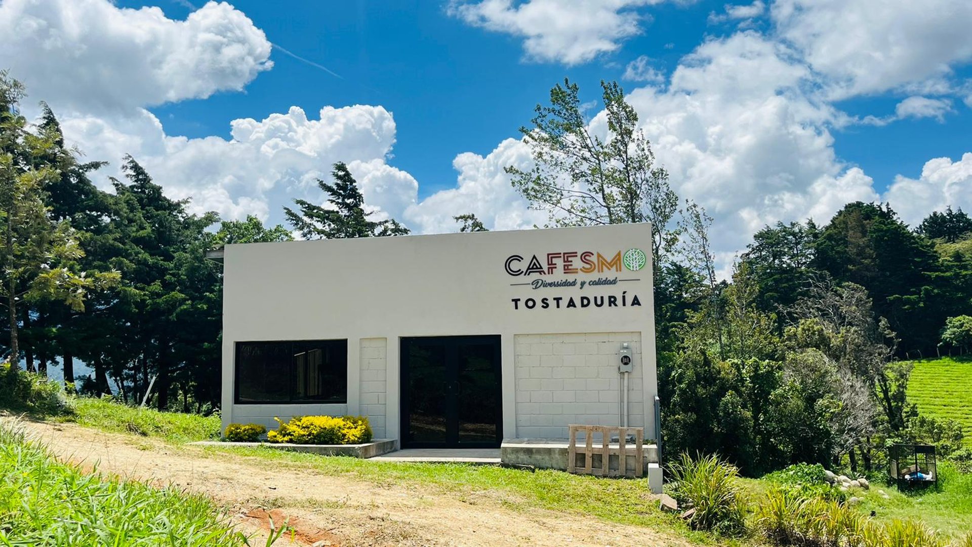 gray computer monitor