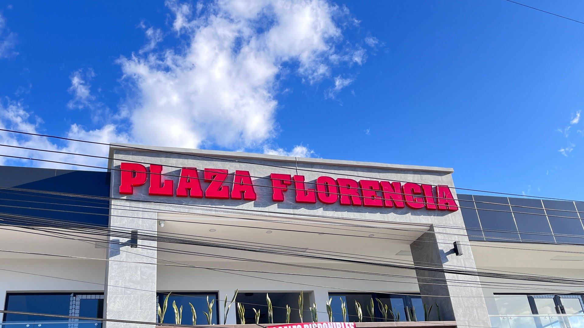 gray computer monitor