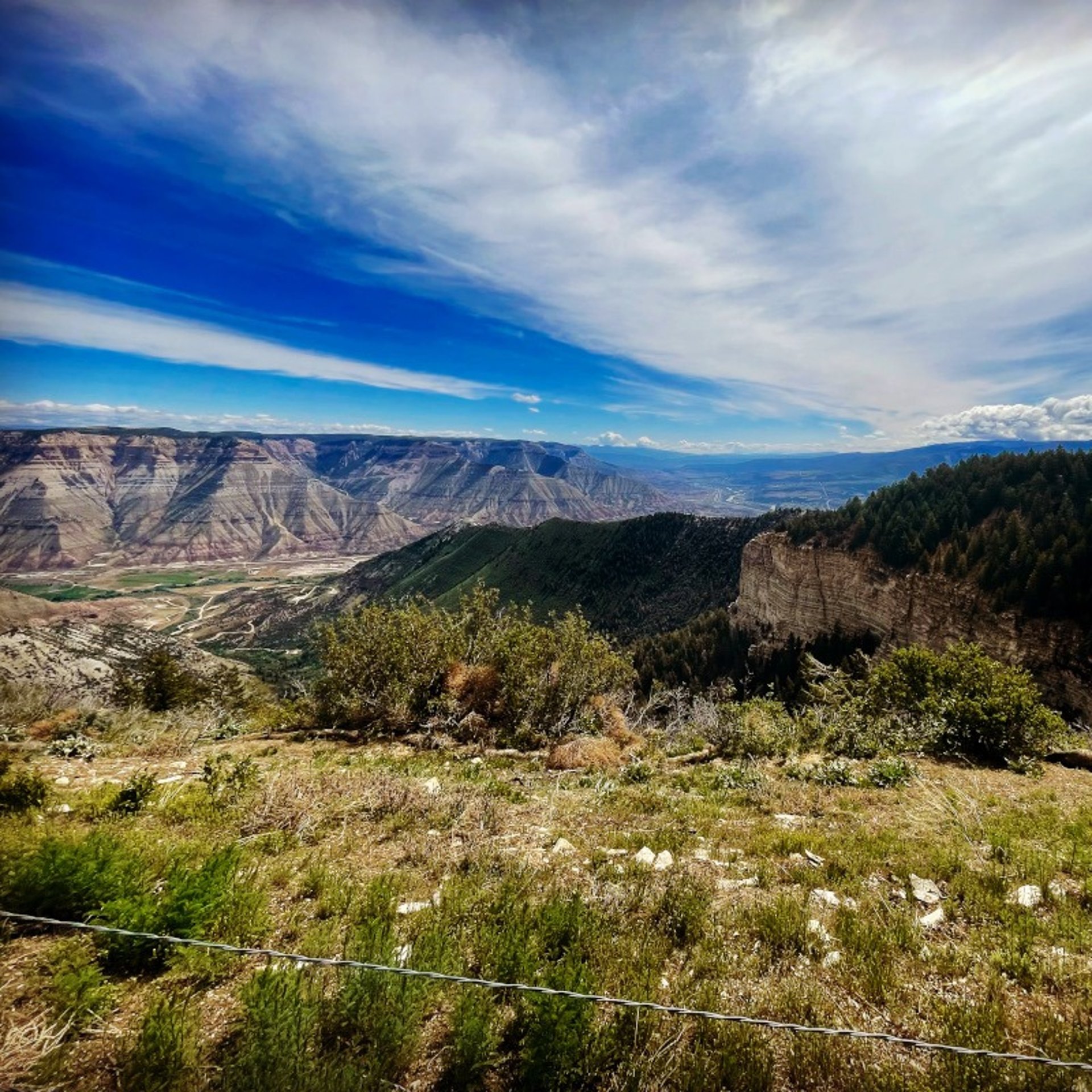 Vegetation management site in Colorado