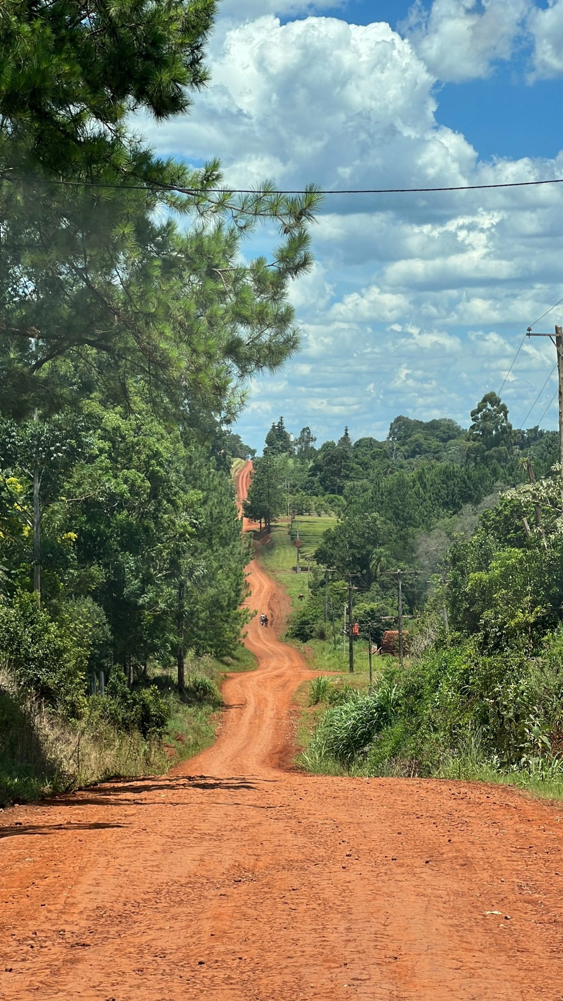 black blue and yellow textile