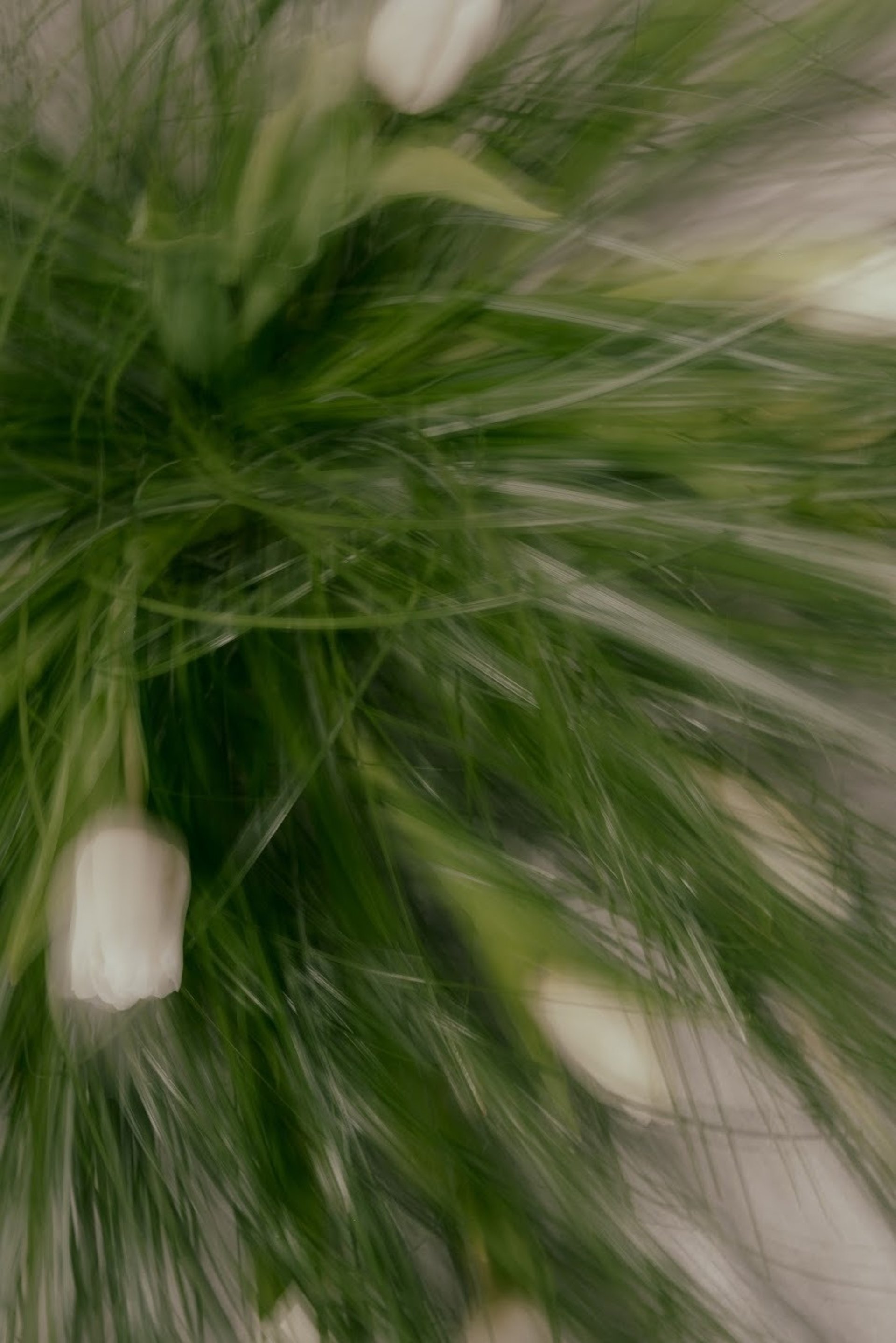 an abstract photo of a curved building with a blue sky in the background