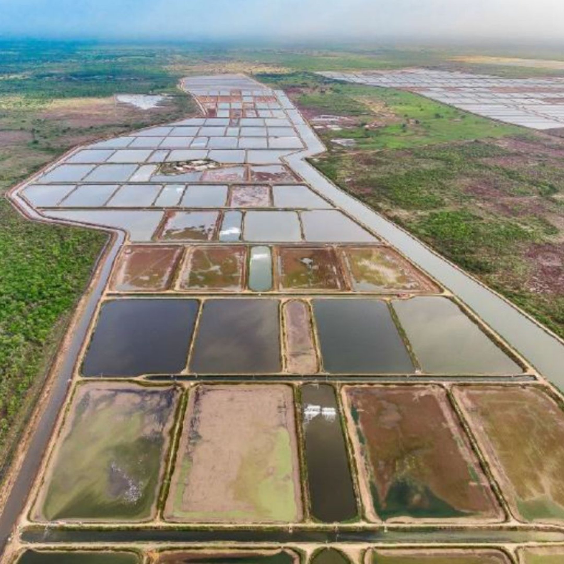 an abstract photo of a curved building with a blue sky in the background
