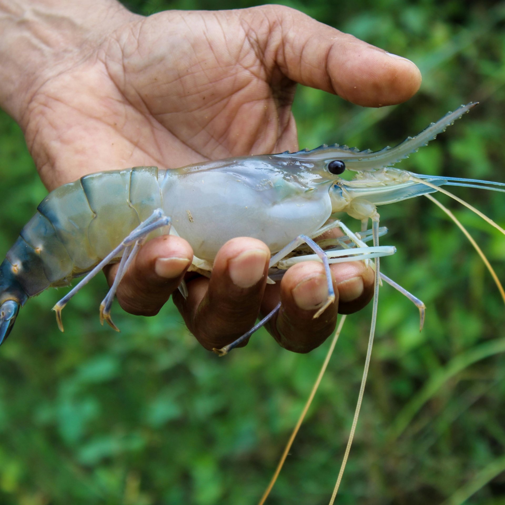 an abstract photo of a curved building with a blue sky in the background