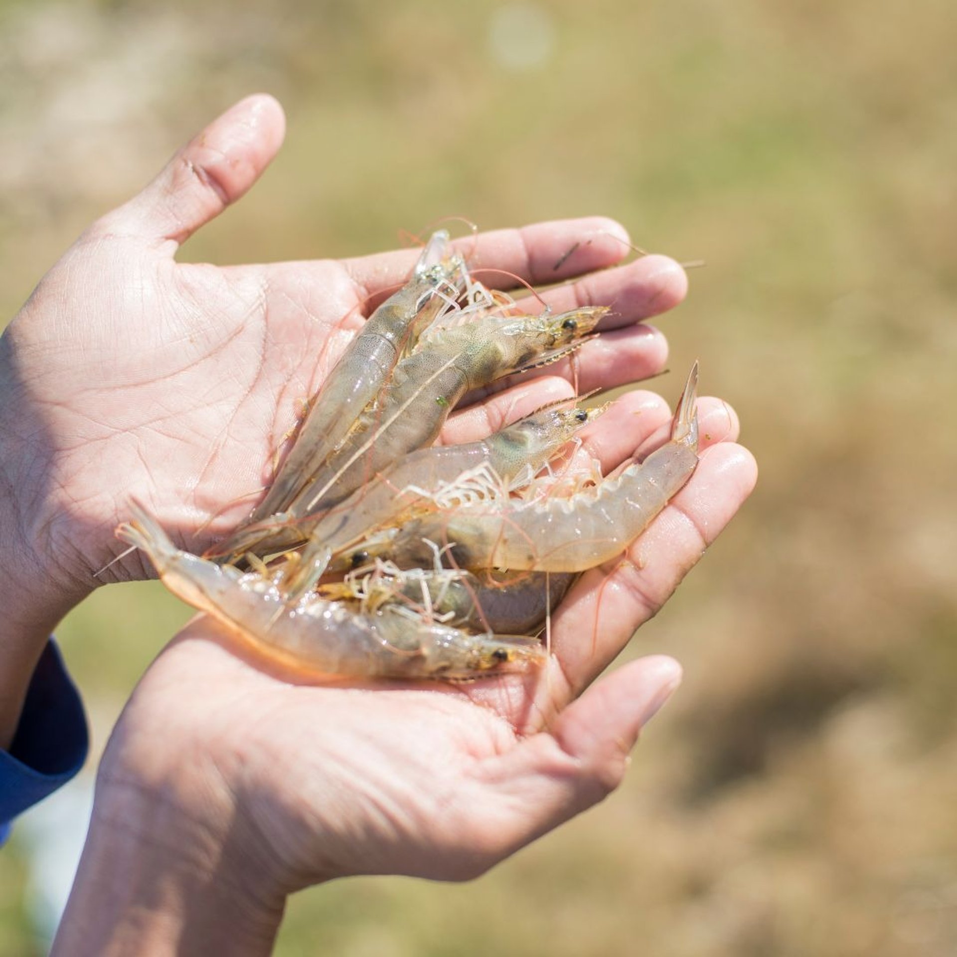 an abstract photo of a curved building with a blue sky in the background