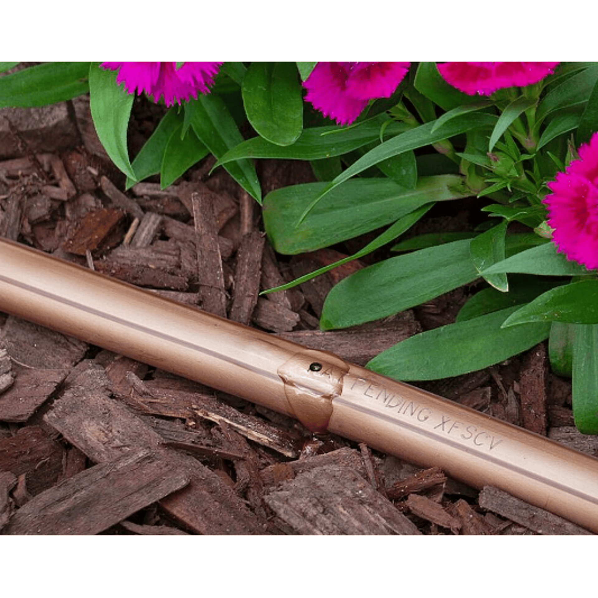 woman wearing yellow long-sleeved dress under white clouds and blue sky during daytime