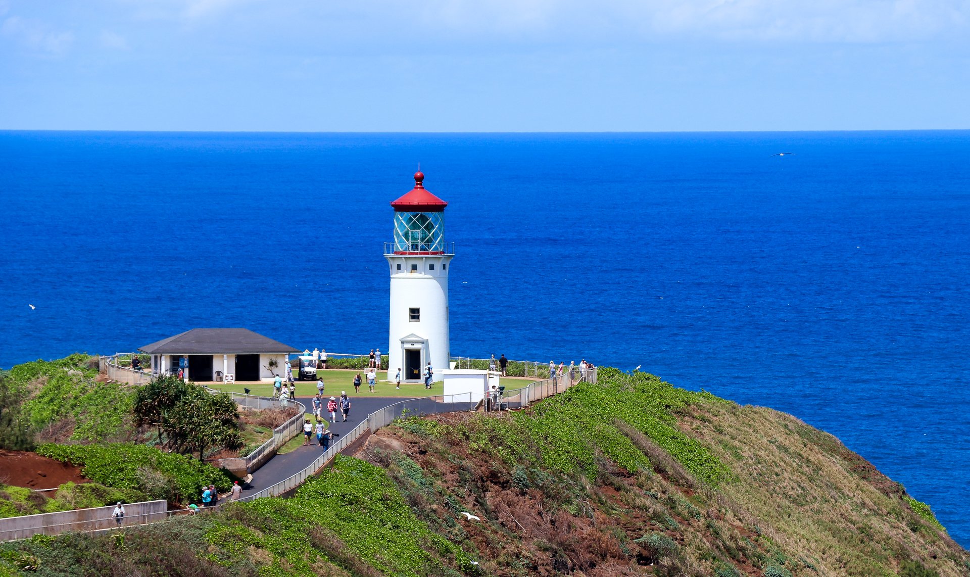 black and brown leather padded tub sofa