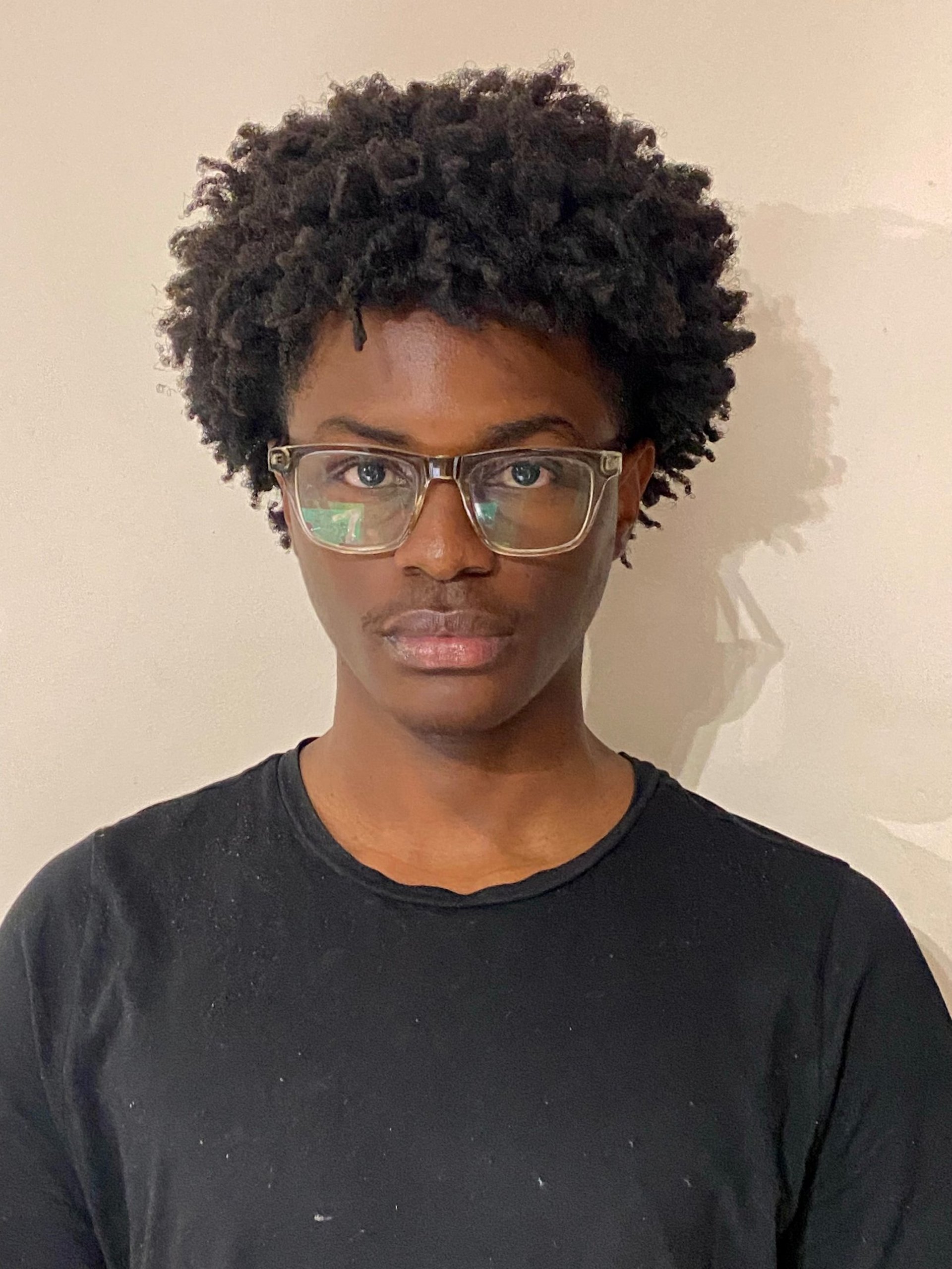 black and brown leather padded tub sofa