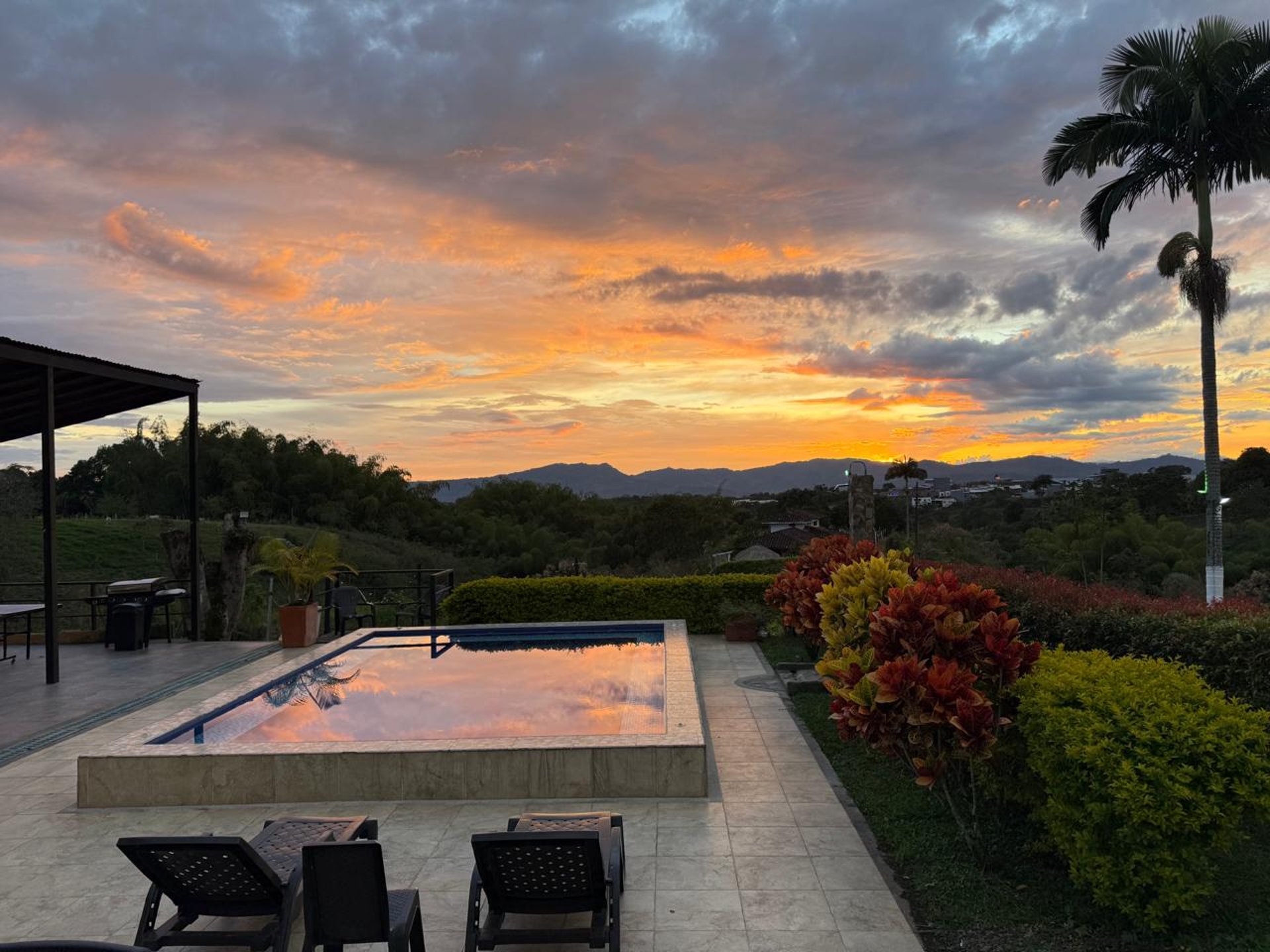 black and white bed linen