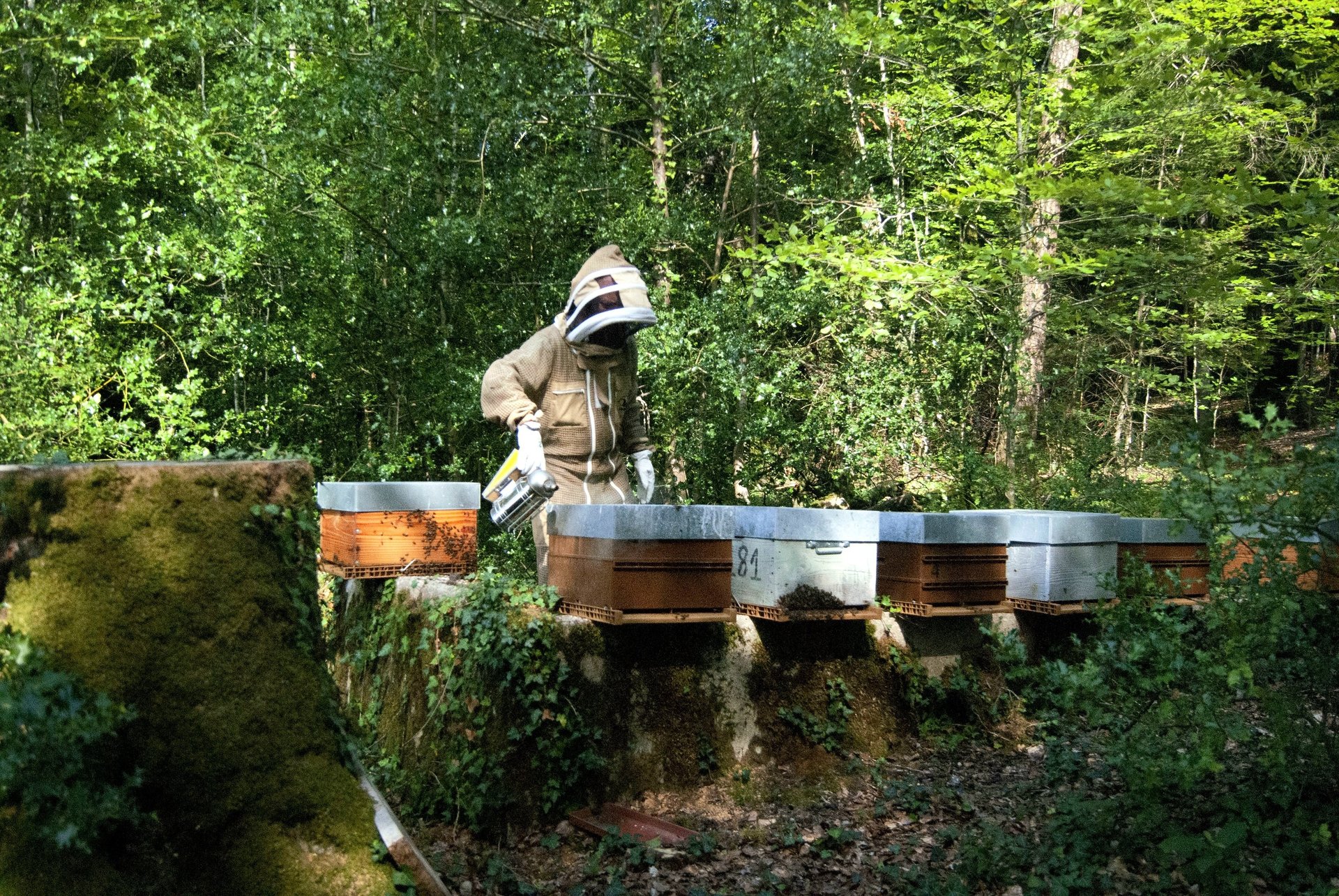 black and white bed linen