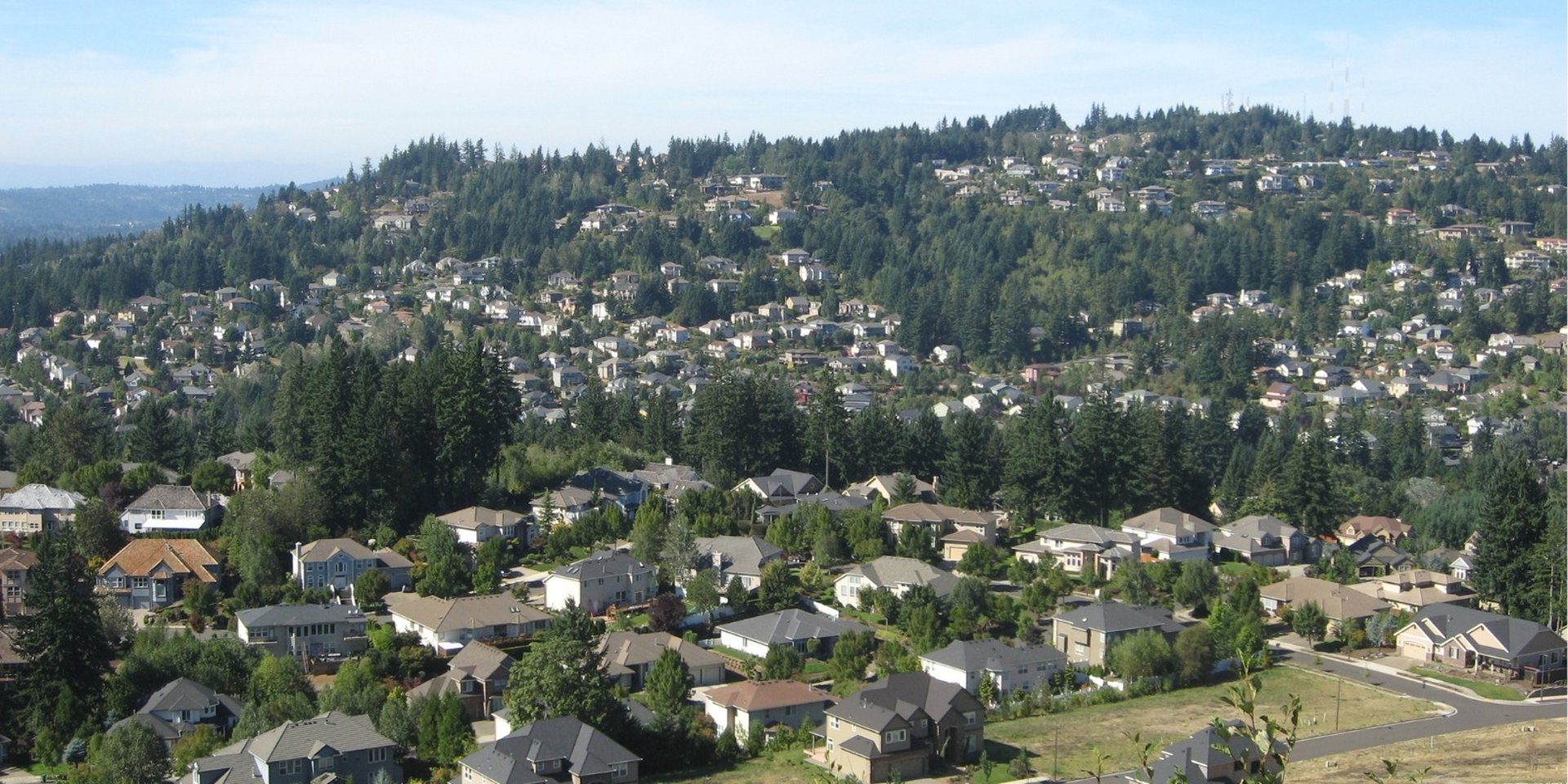 white boats on sea near green trees during daytime