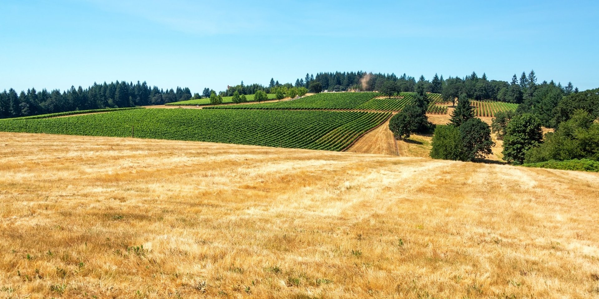 city with high rise buildings near mountain during sunset