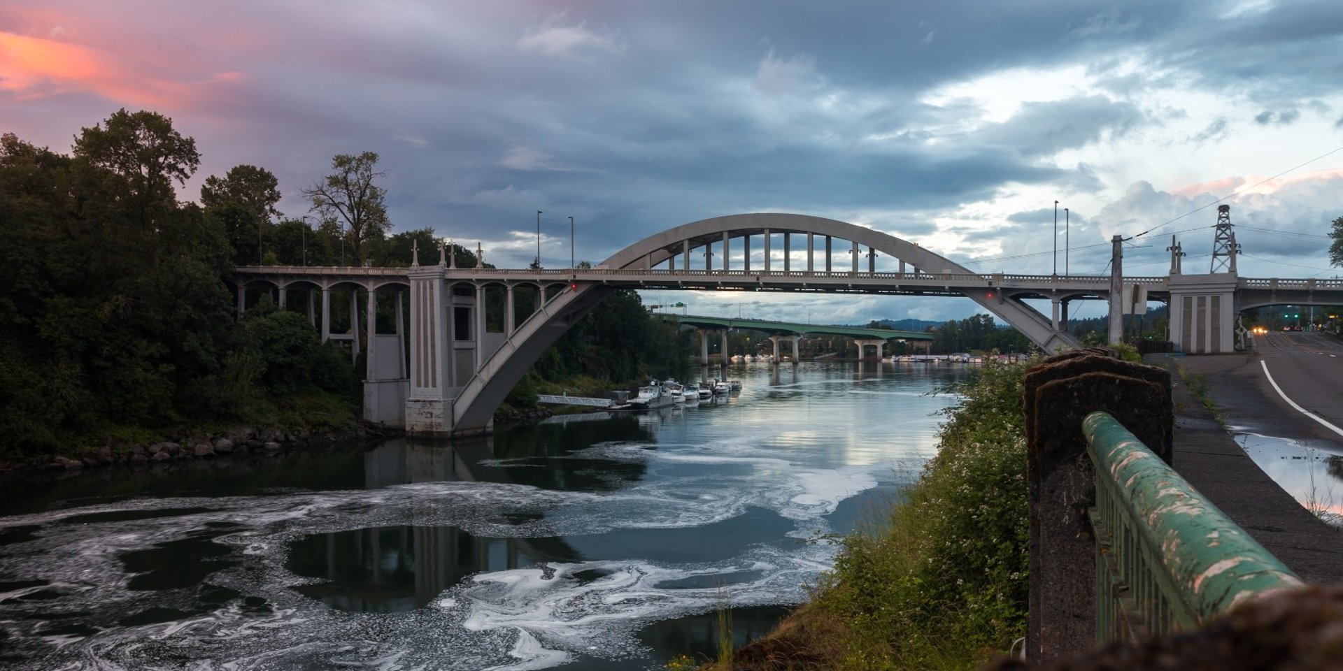 white boats on sea near green trees during daytime