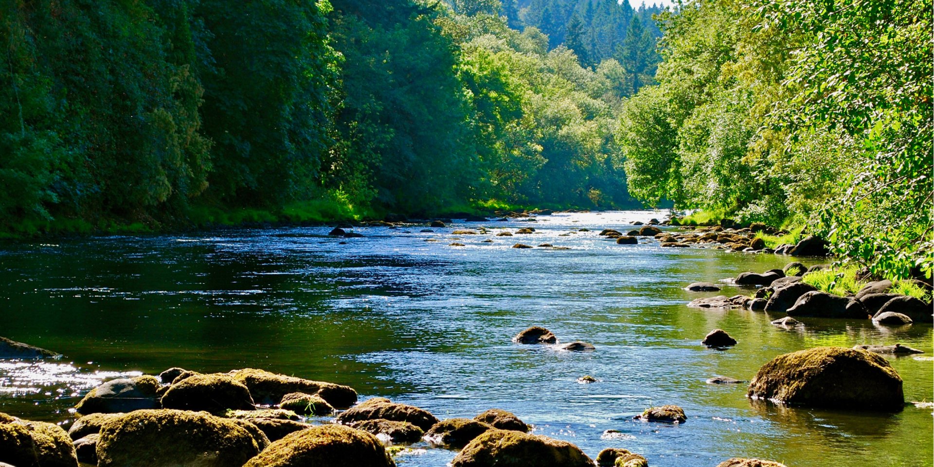 city with high rise buildings near mountain during sunset