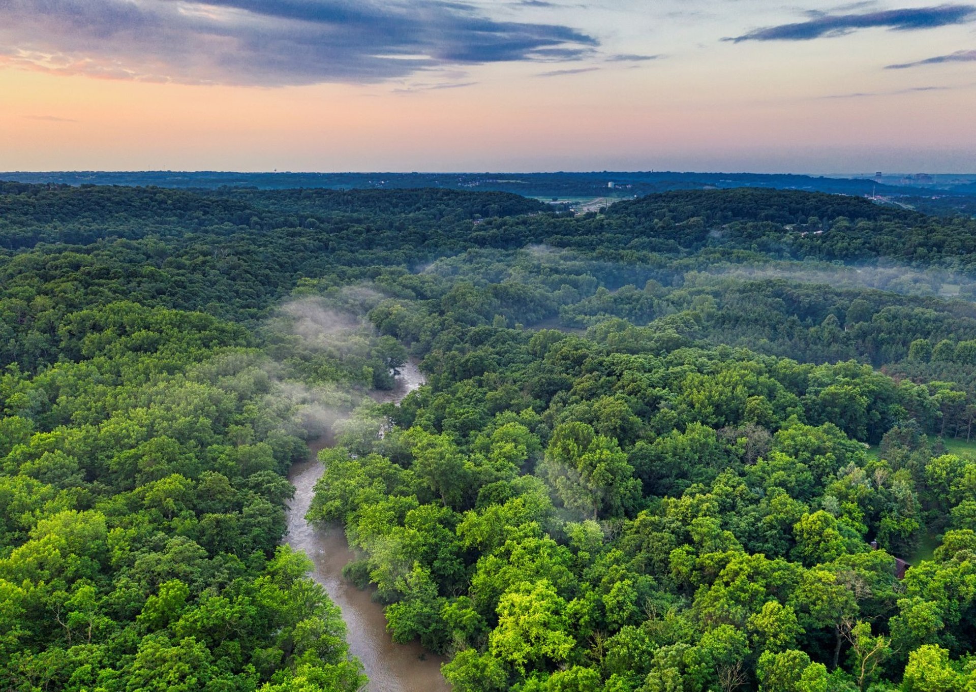 a woman sitting in a field of grass