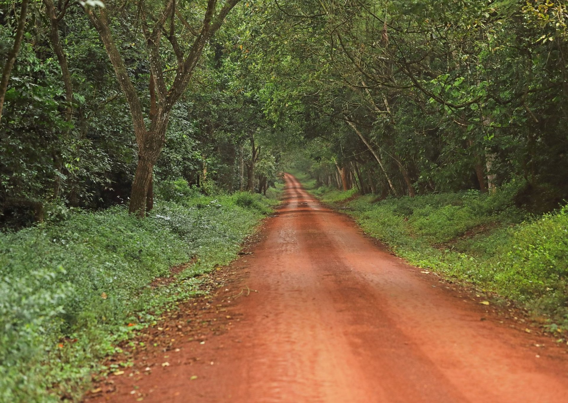a woman sitting in a field of grass