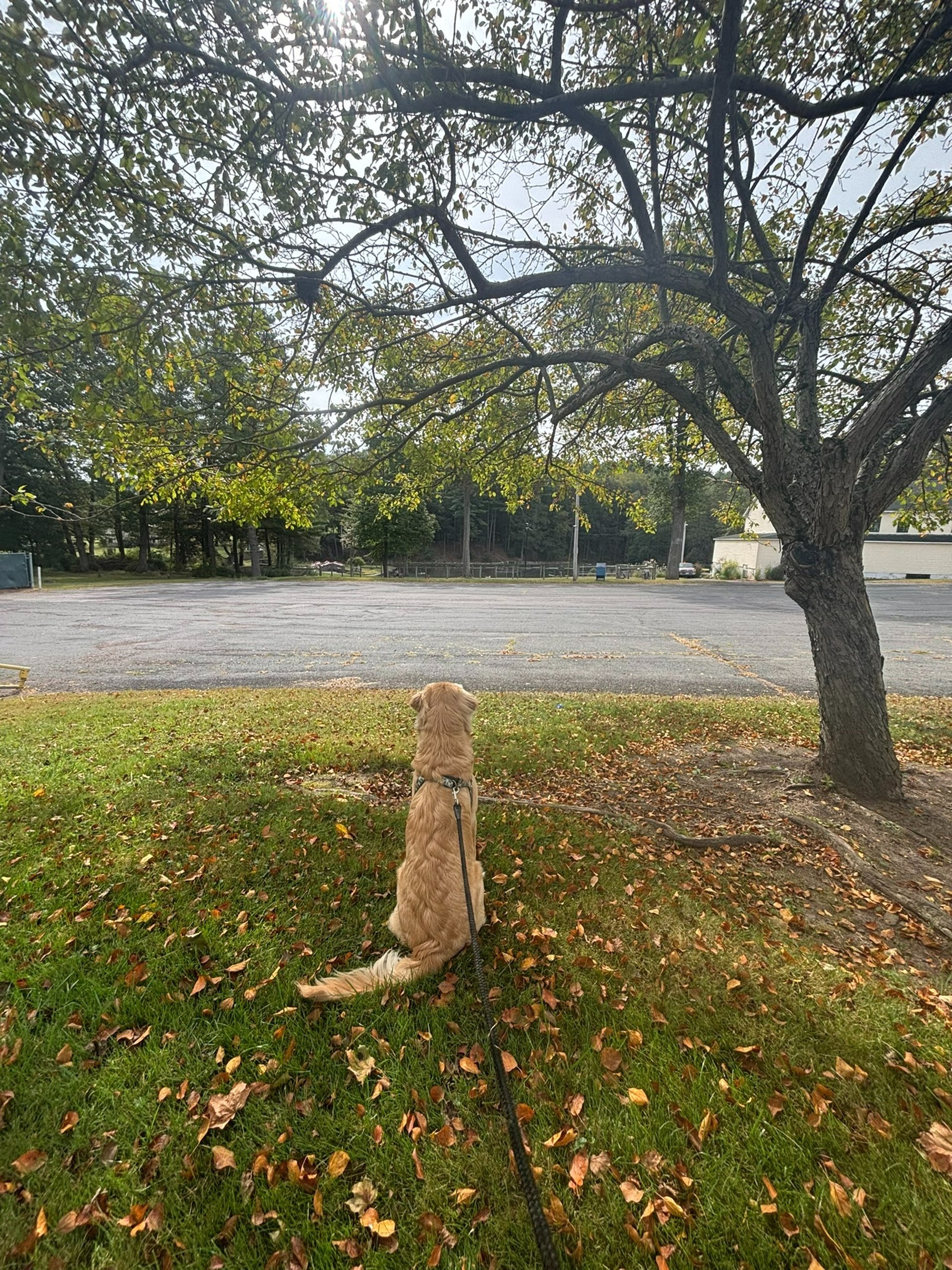 woman holding dried flower