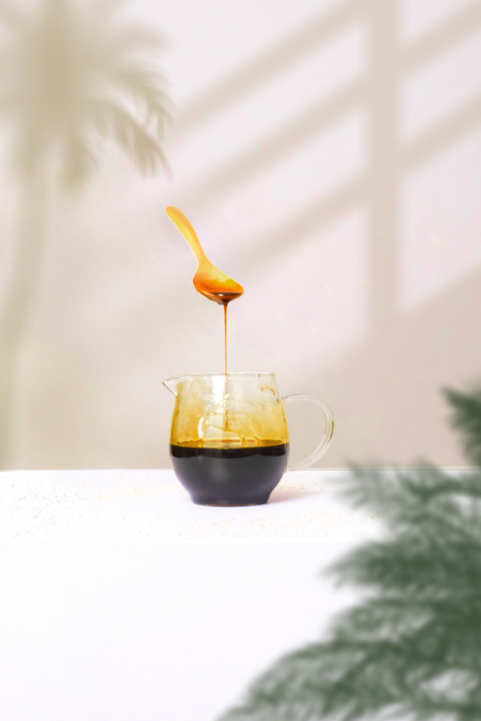 a palm tree with many leaves