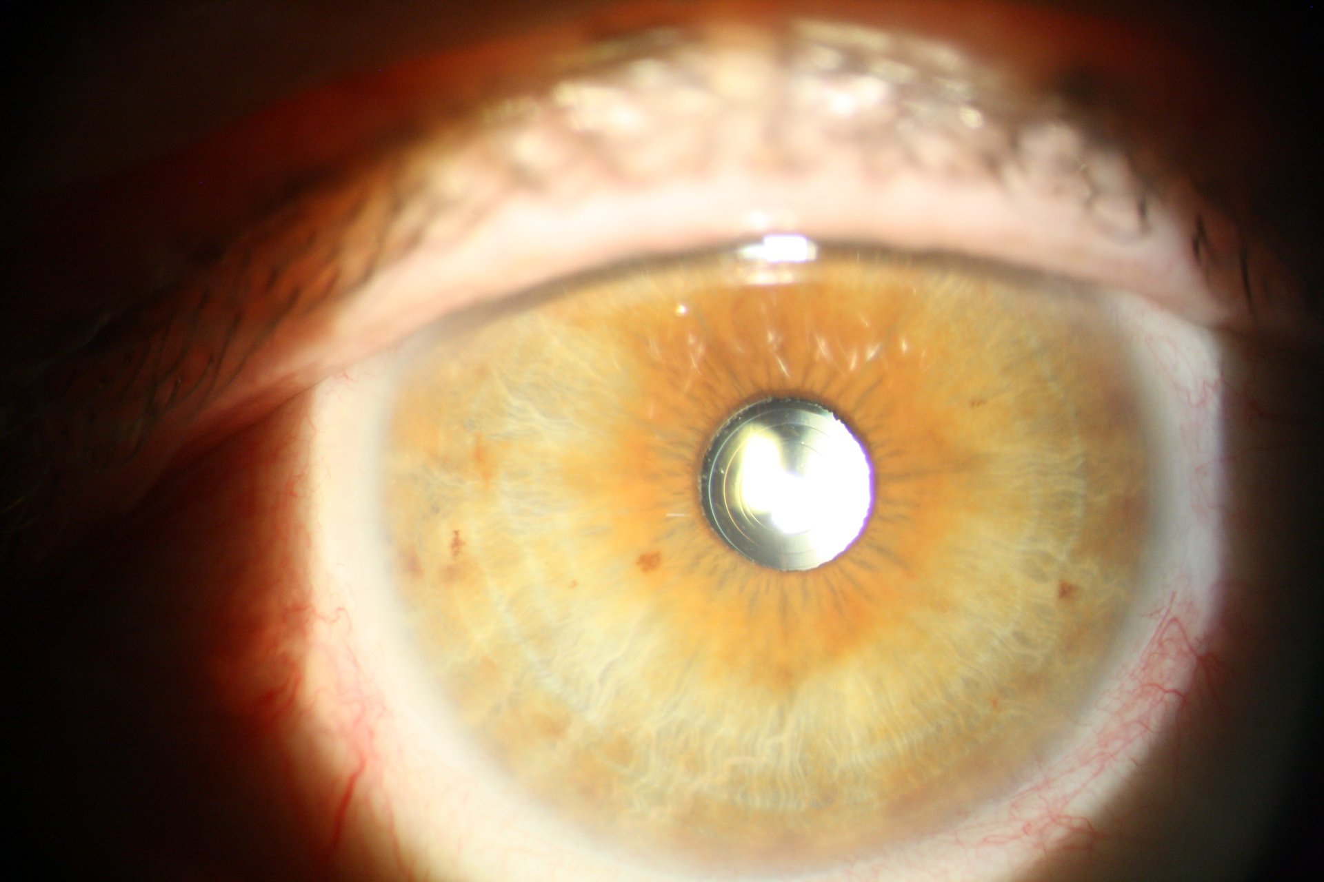 gray computer monitor