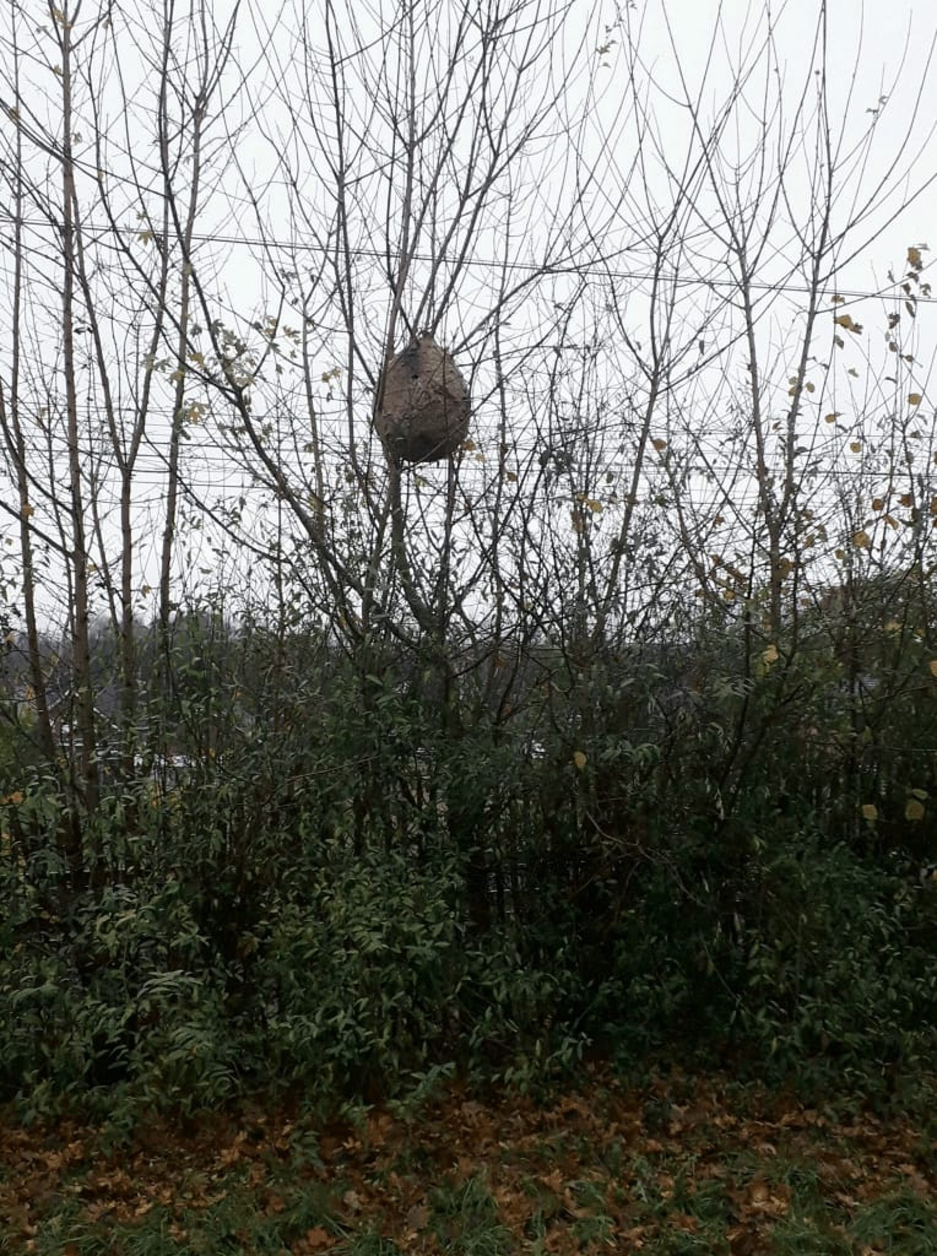 an abstract photo of a curved building with a blue sky in the background