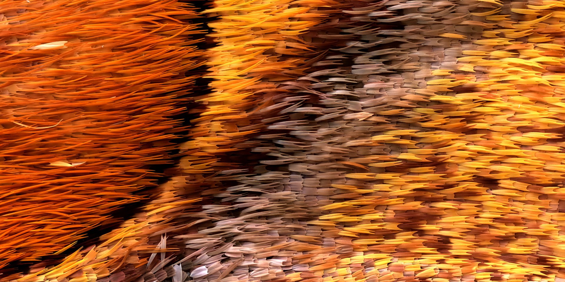 black and white bed linen