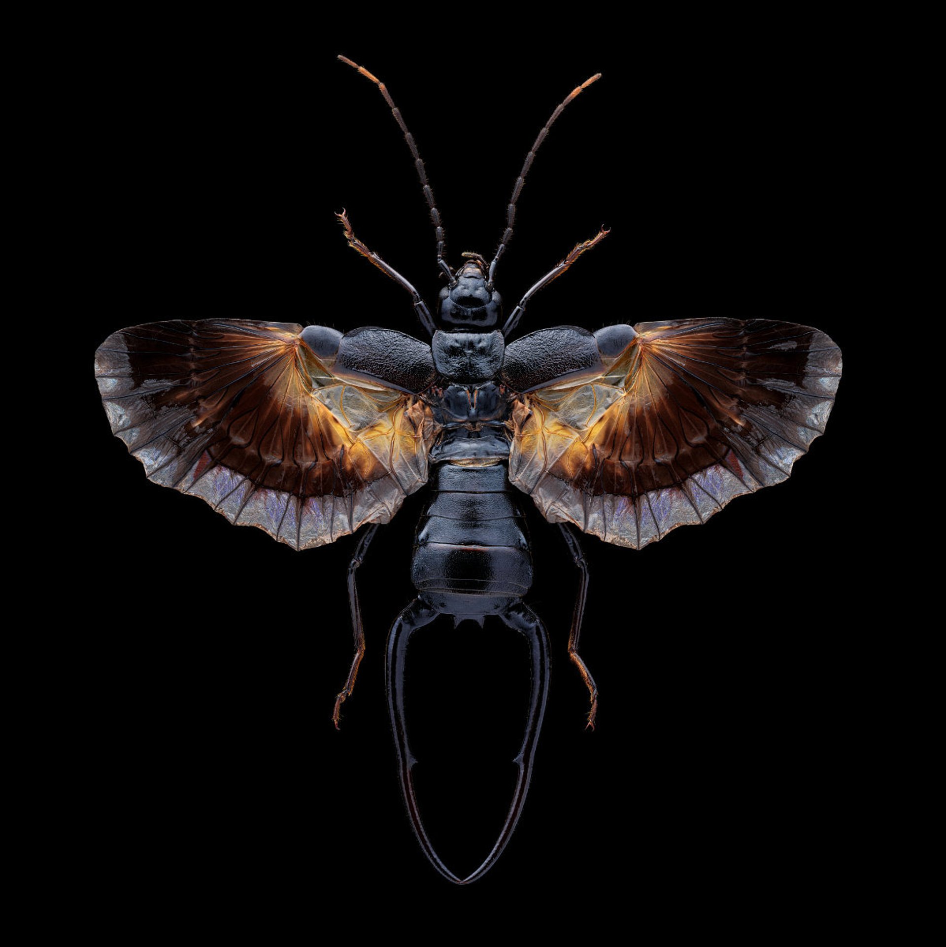 black and white bed linen