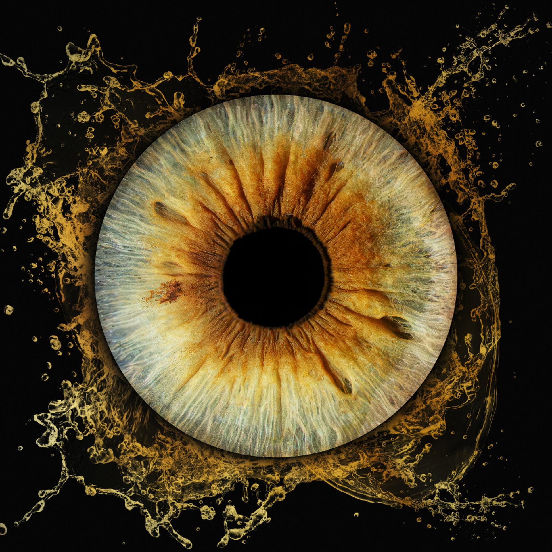 black blue and yellow textile