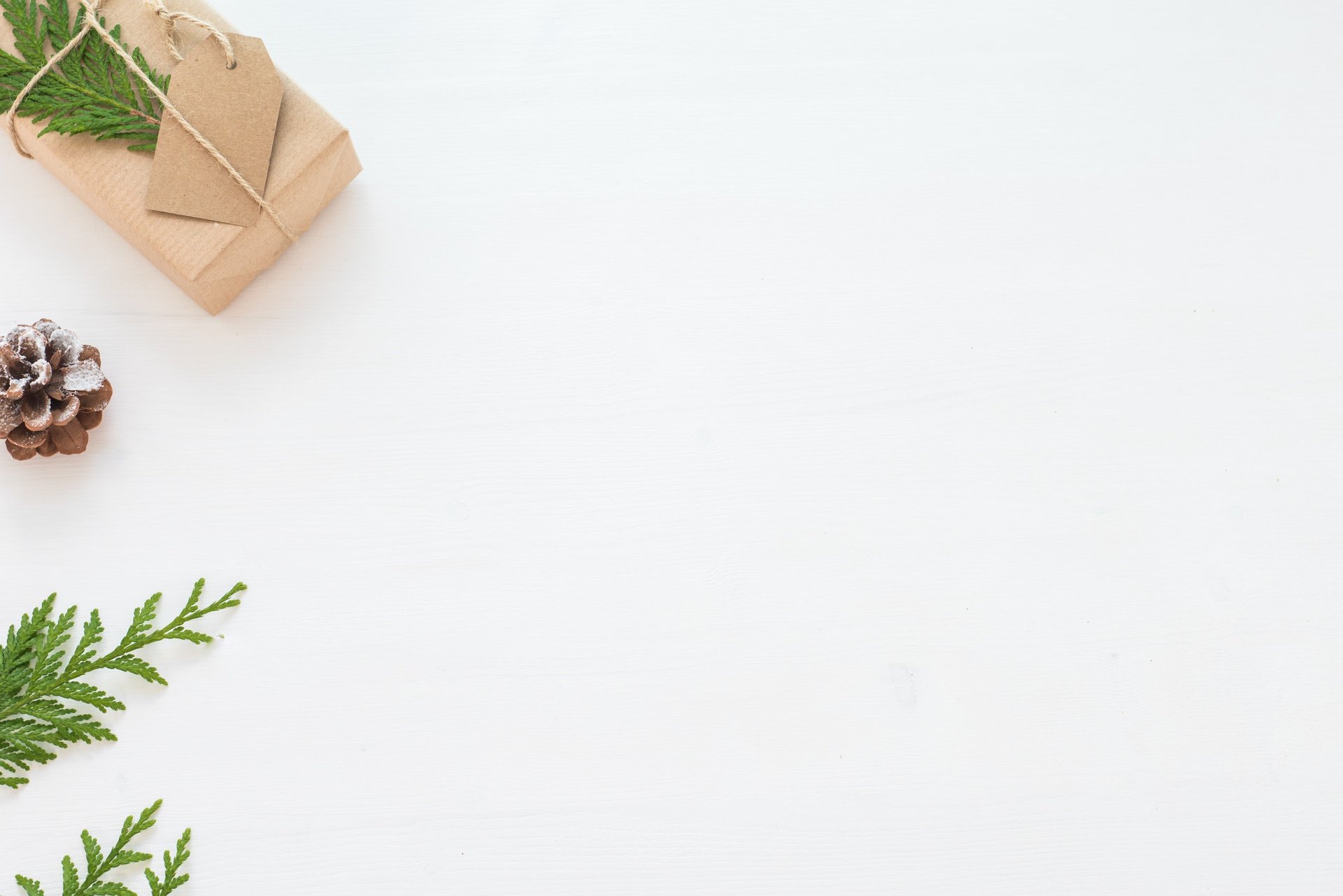 woman holding dried flower