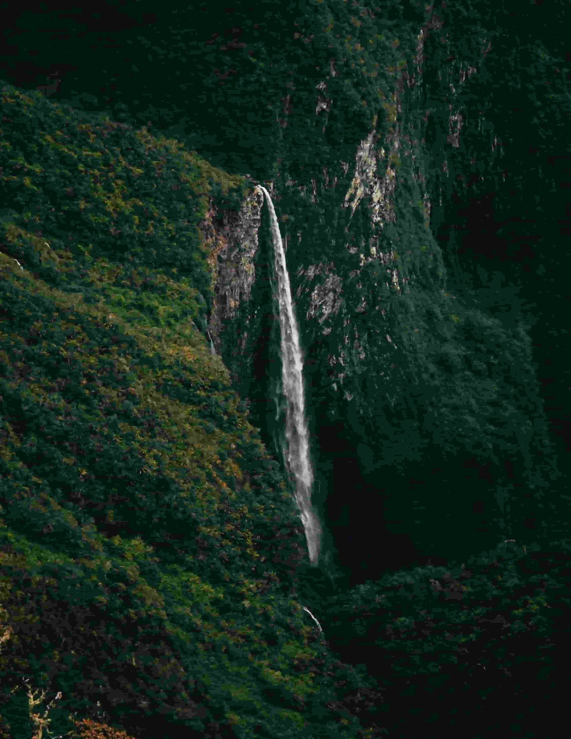 people walking inside building with glass walls