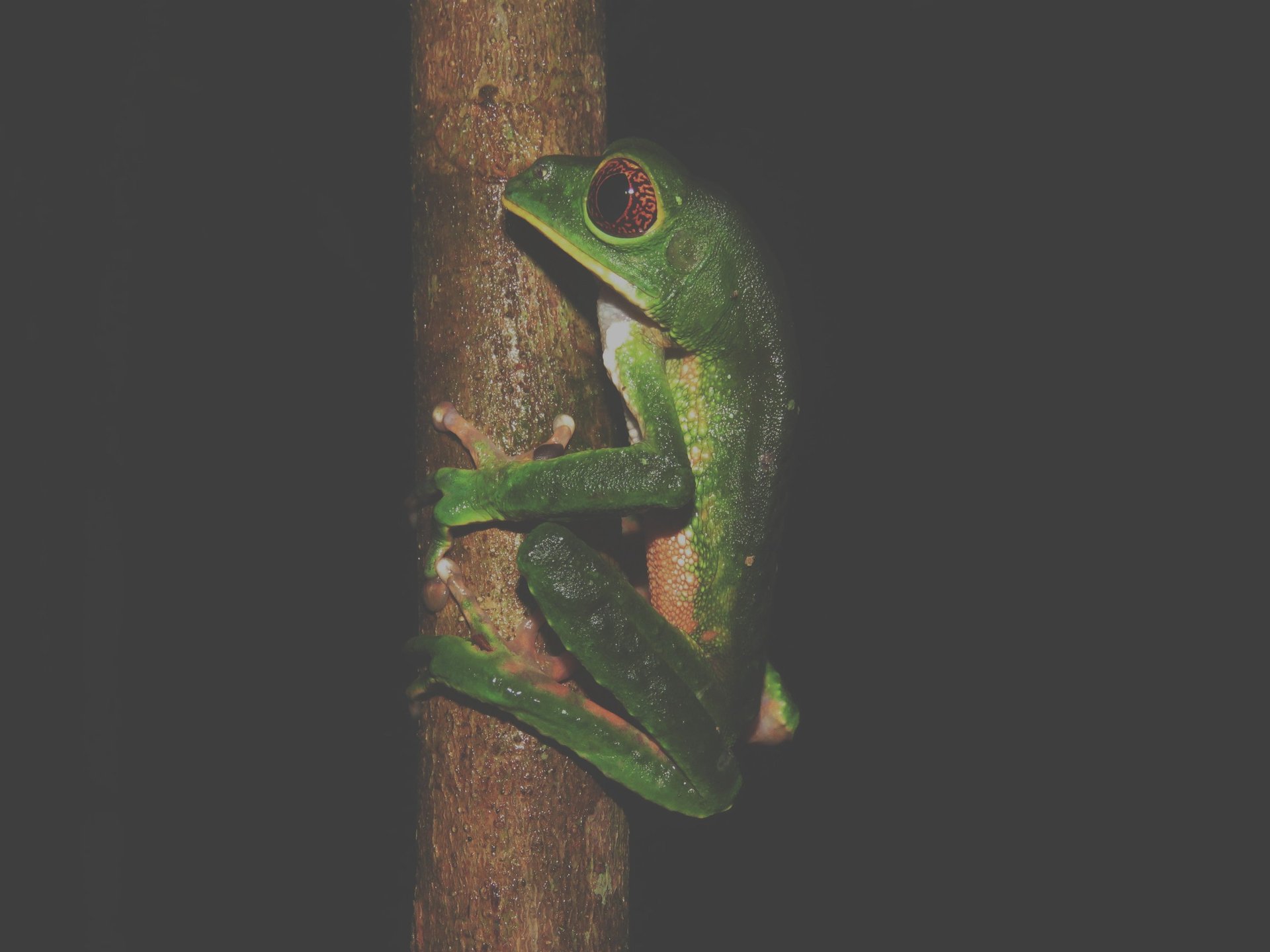A group of men standing on top of a beach next to the ocean